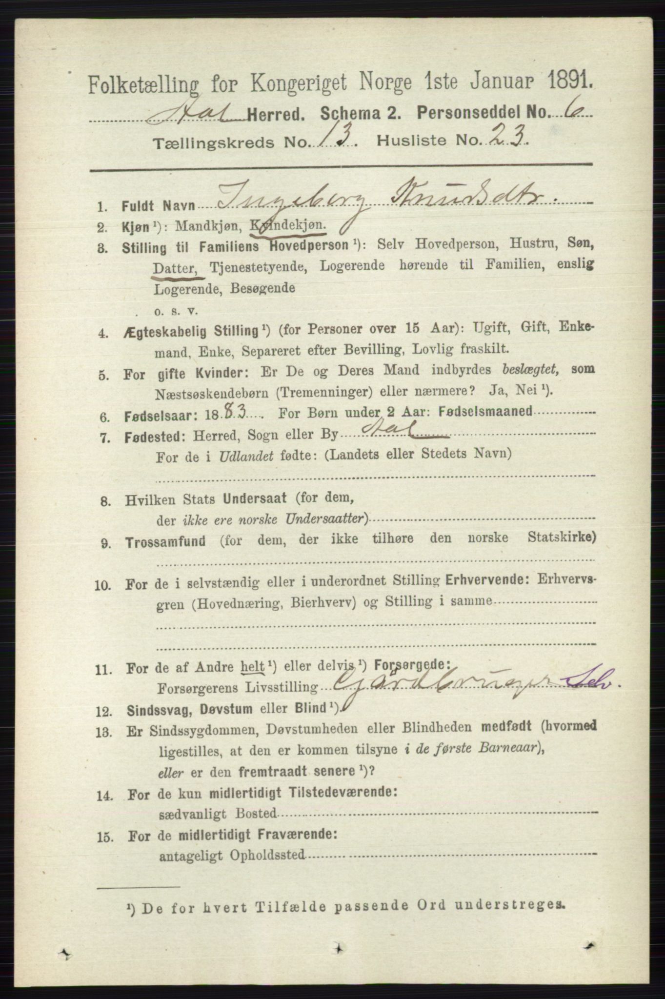 RA, 1891 census for 0619 Ål, 1891, p. 3386