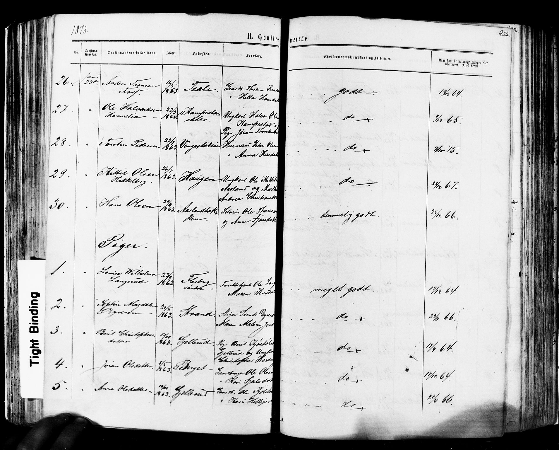 Flesberg kirkebøker, SAKO/A-18/F/Fa/L0007: Parish register (official) no. I 7, 1861-1878, p. 222