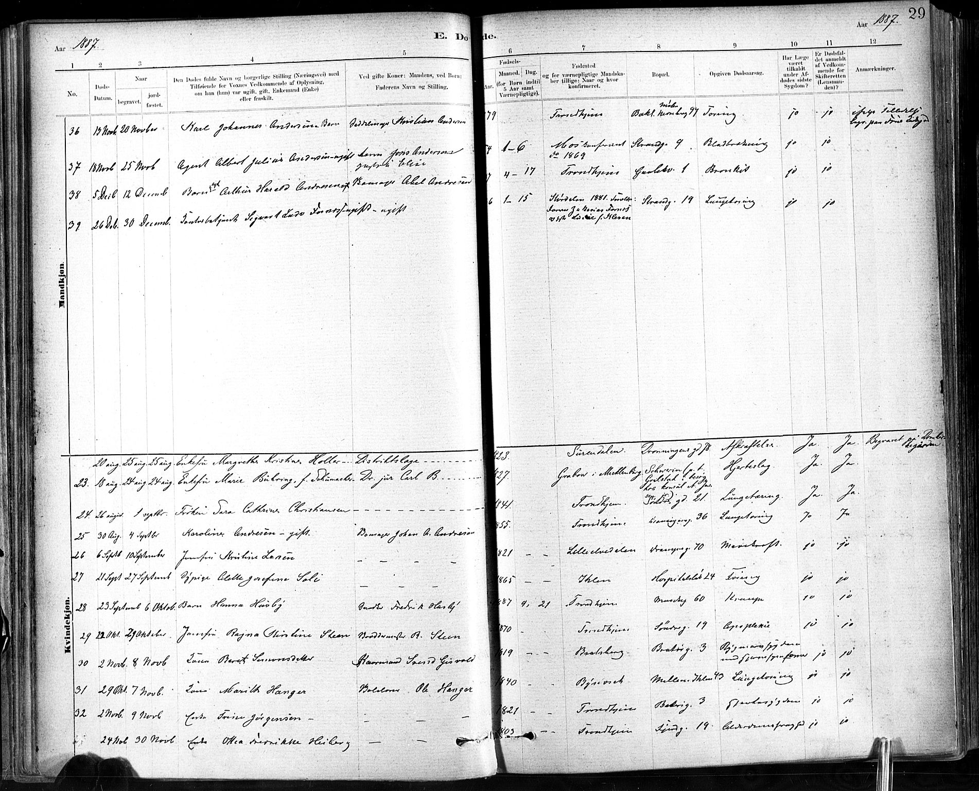 Ministerialprotokoller, klokkerbøker og fødselsregistre - Sør-Trøndelag, SAT/A-1456/602/L0120: Parish register (official) no. 602A18, 1880-1913, p. 29