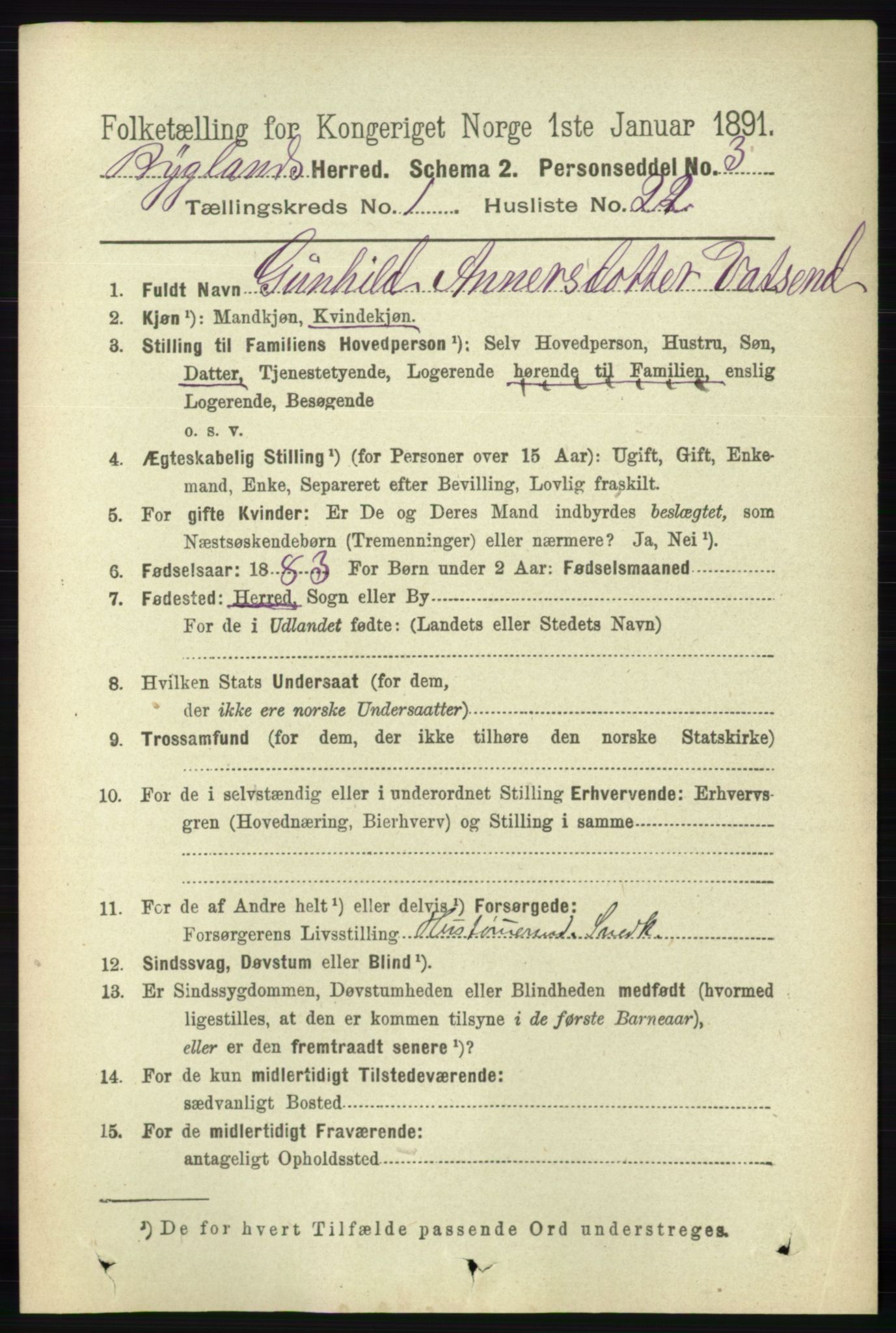 RA, 1891 census for 0938 Bygland, 1891, p. 207