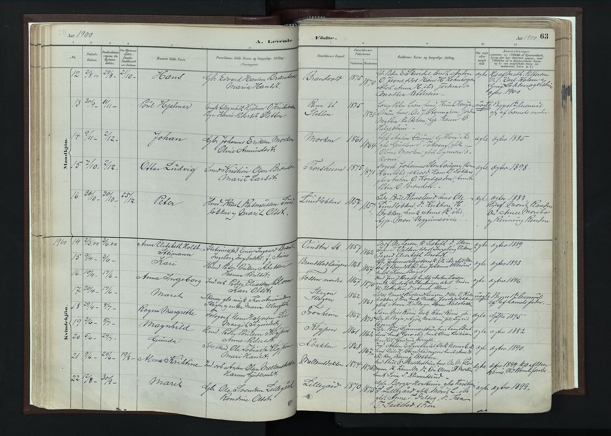 Nord-Fron prestekontor, SAH/PREST-080/H/Ha/Haa/L0004: Parish register (official) no. 4, 1884-1914, p. 63