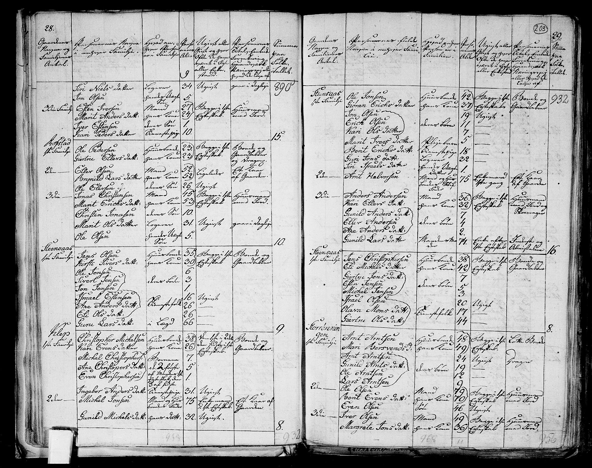RA, 1801 census for 1653P Melhus, 1801, p. 202b-203a
