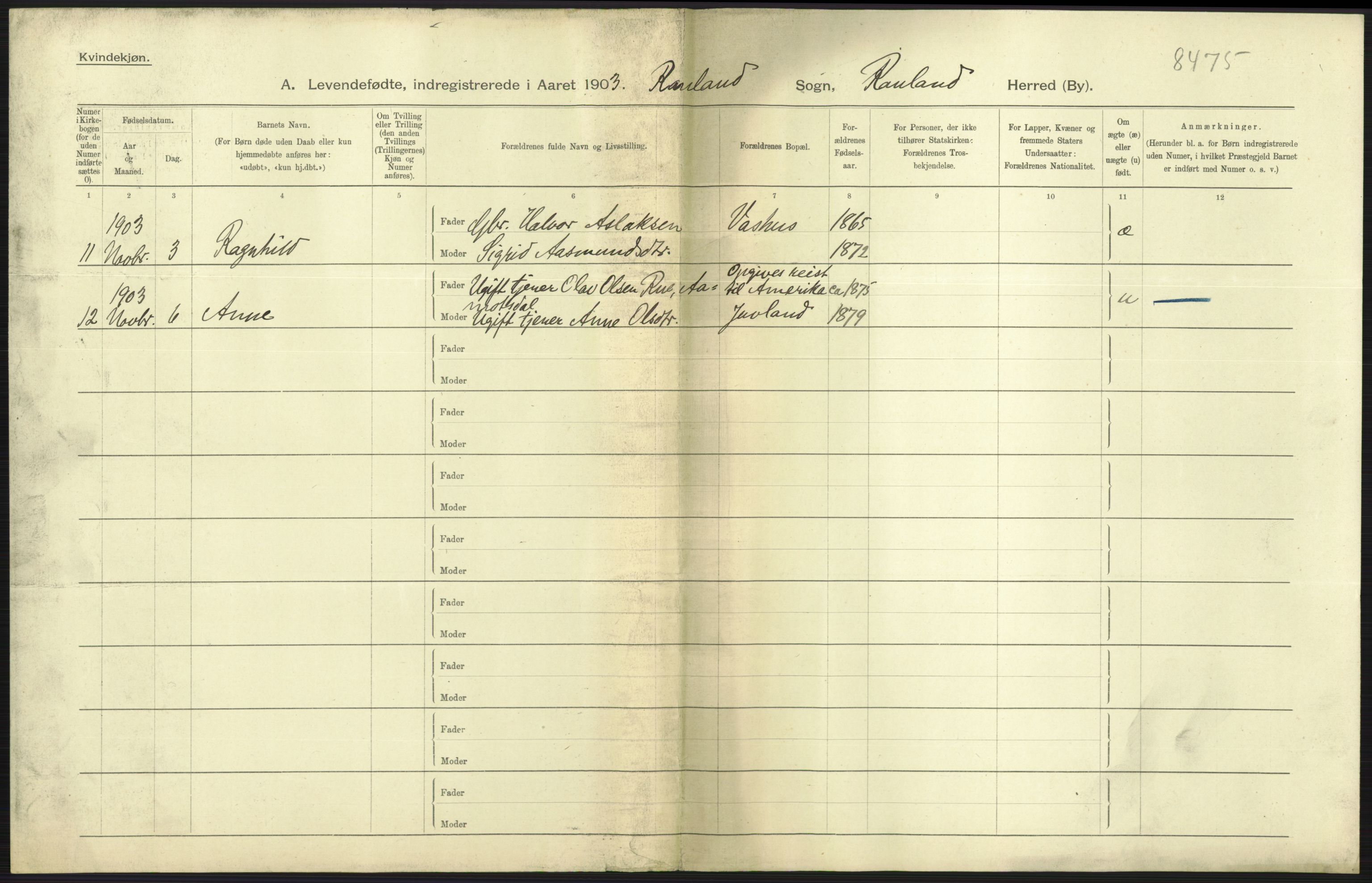 Statistisk sentralbyrå, Sosiodemografiske emner, Befolkning, AV/RA-S-2228/D/Df/Dfa/Dfaa/L0009: Bratsberg amt: Fødte, gifte, døde, 1903, p. 5