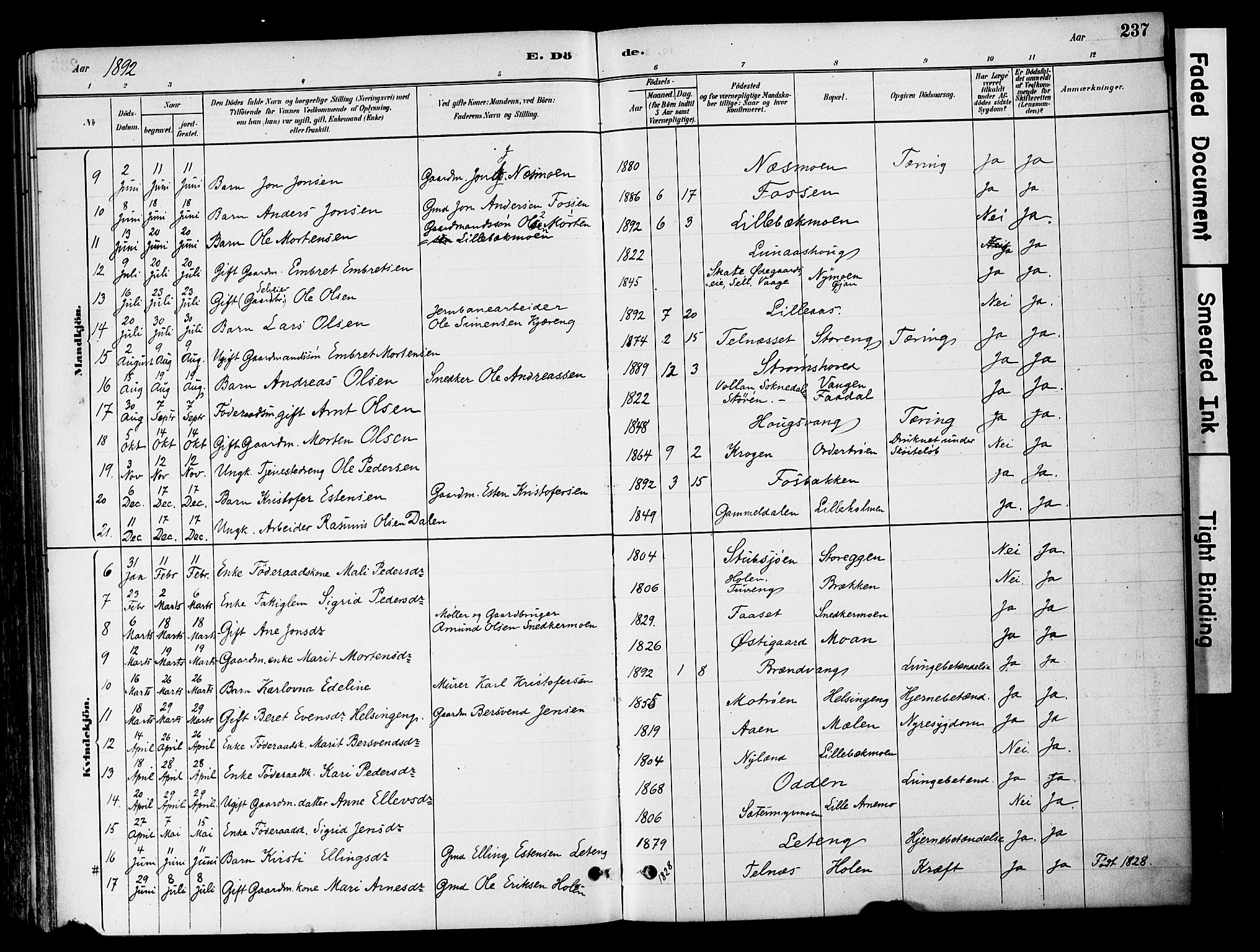 Tynset prestekontor, AV/SAH-PREST-058/H/Ha/Haa/L0022: Parish register (official) no. 22, 1880-1899, p. 237