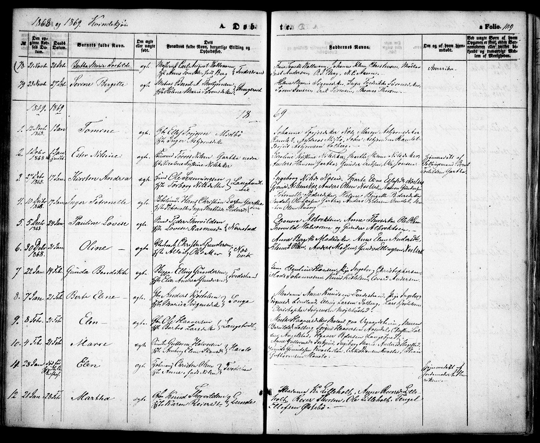 Holt sokneprestkontor, AV/SAK-1111-0021/F/Fa/L0009: Parish register (official) no. A 9, 1861-1871, p. 109