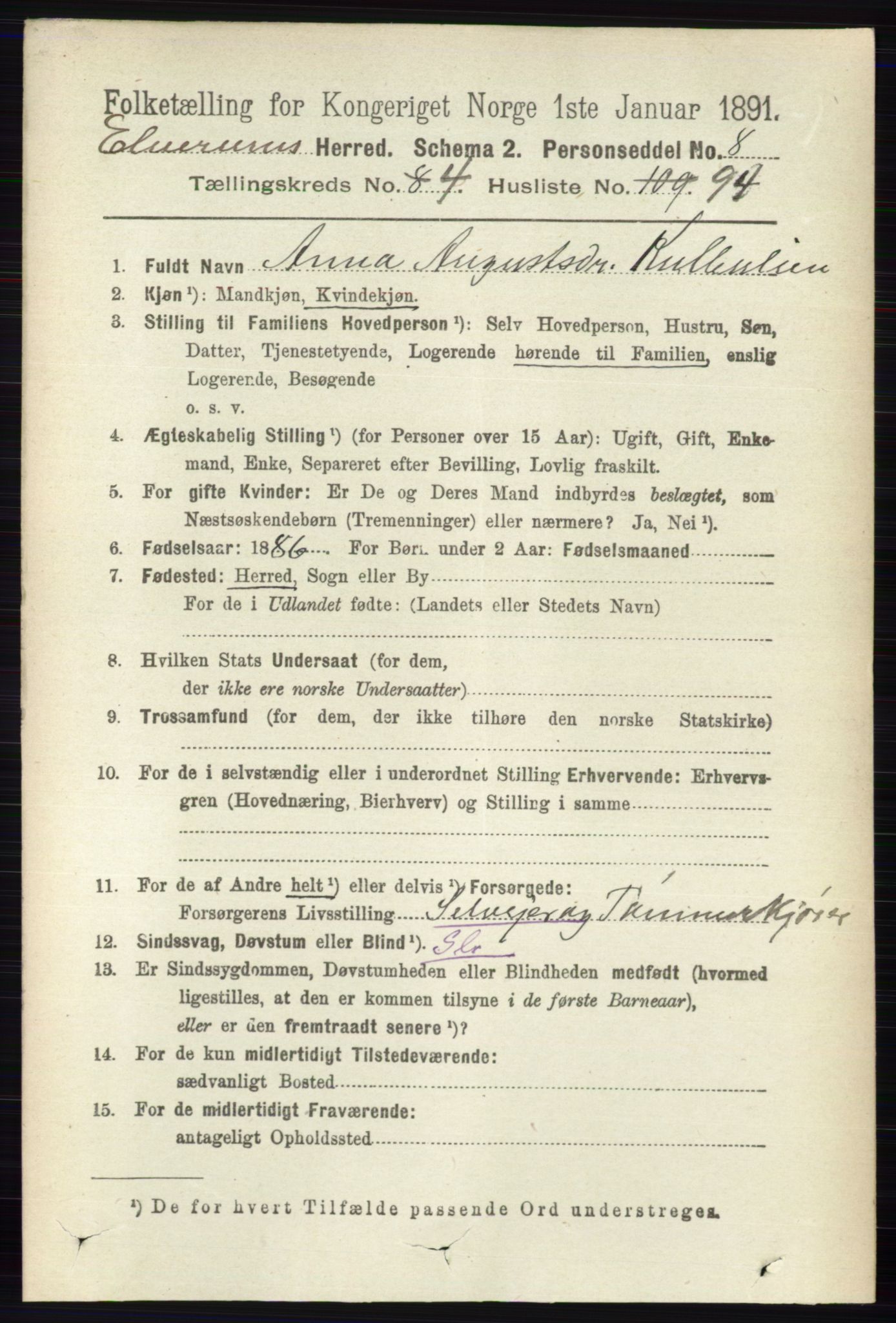 RA, 1891 census for 0427 Elverum, 1891, p. 2921