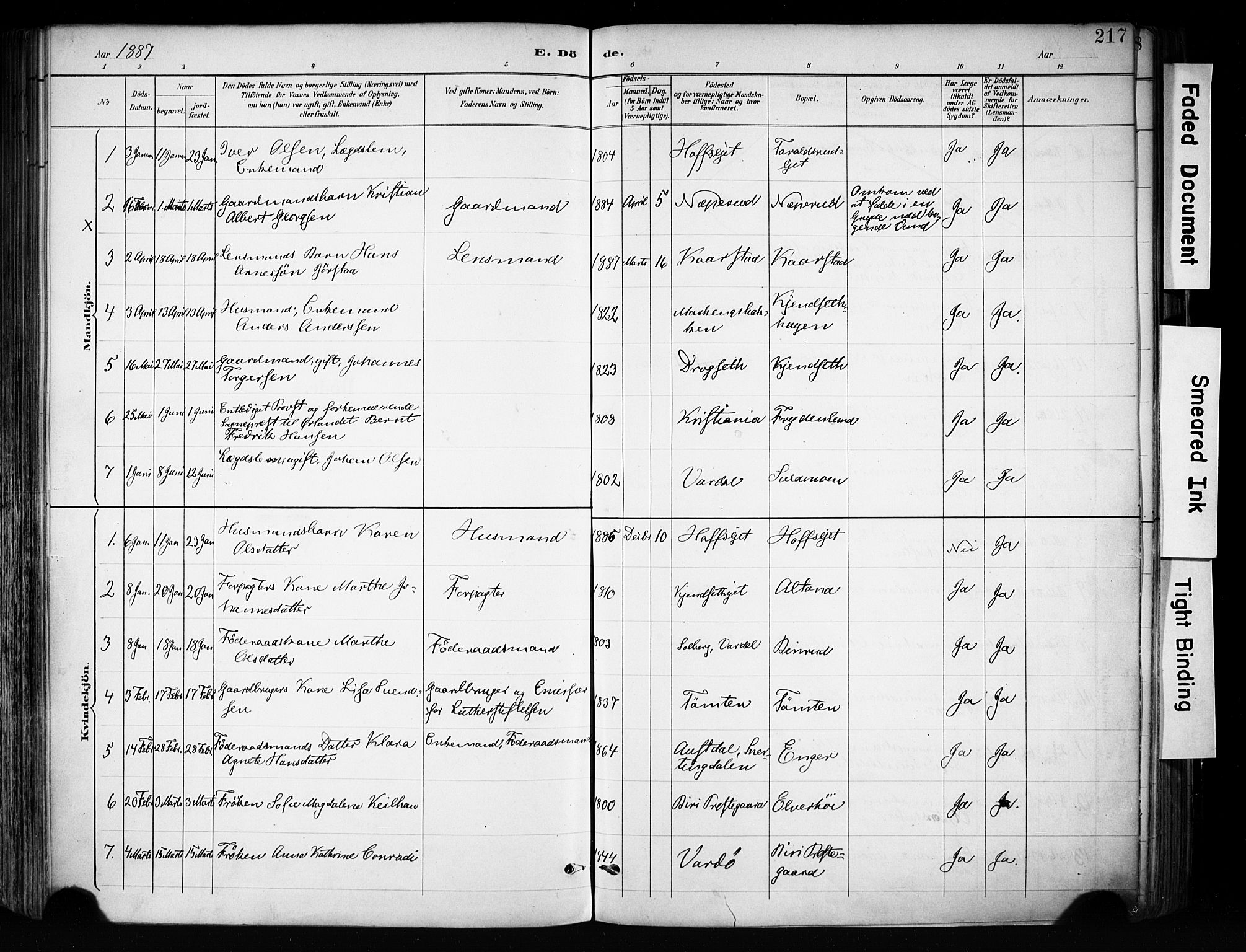 Biri prestekontor, SAH/PREST-096/H/Ha/Haa/L0009: Parish register (official) no. 9, 1887-1900, p. 217