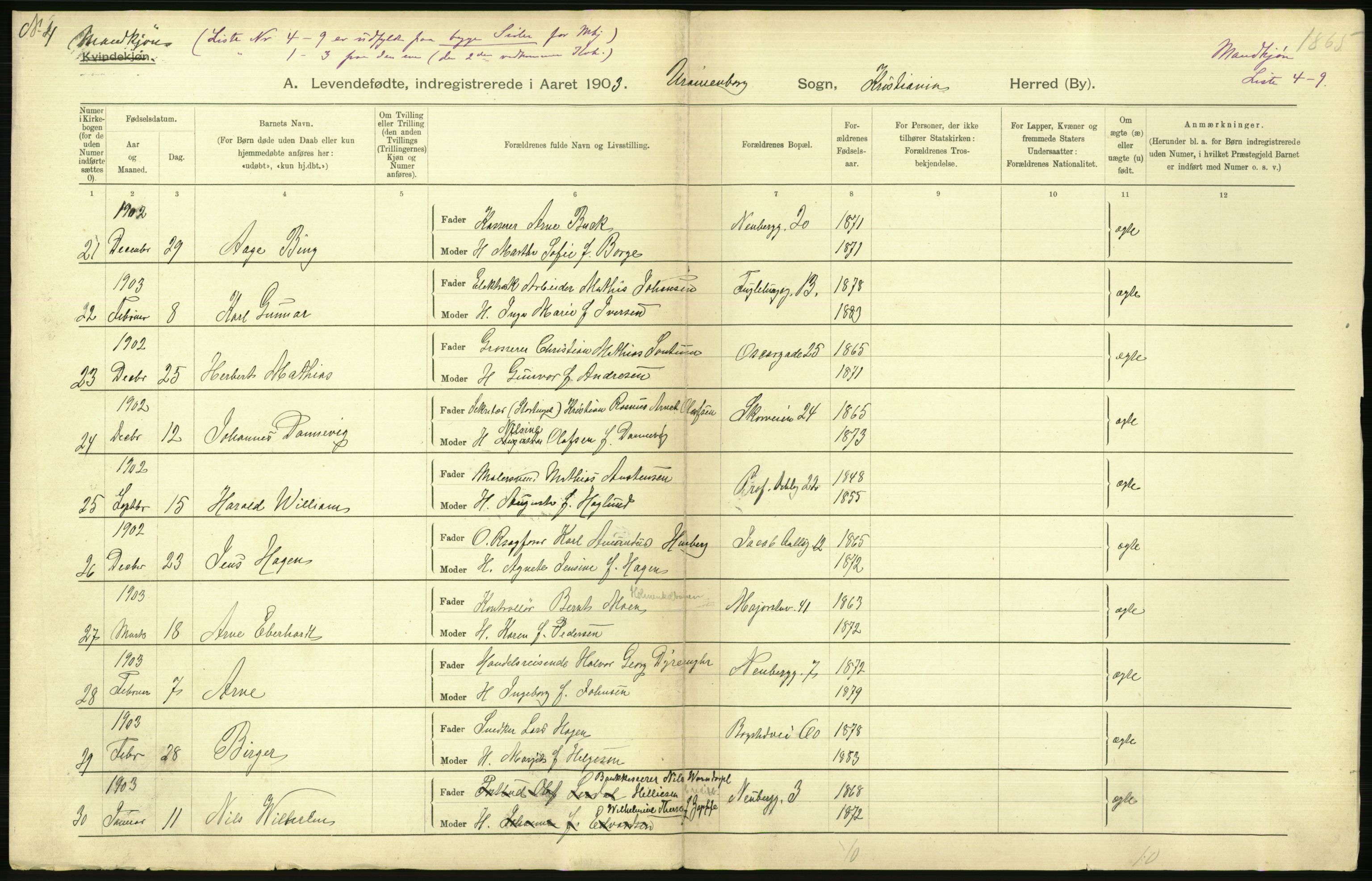 Statistisk sentralbyrå, Sosiodemografiske emner, Befolkning, AV/RA-S-2228/D/Df/Dfa/Dfaa/L0003: Kristiania: Fødte, 1903, p. 528