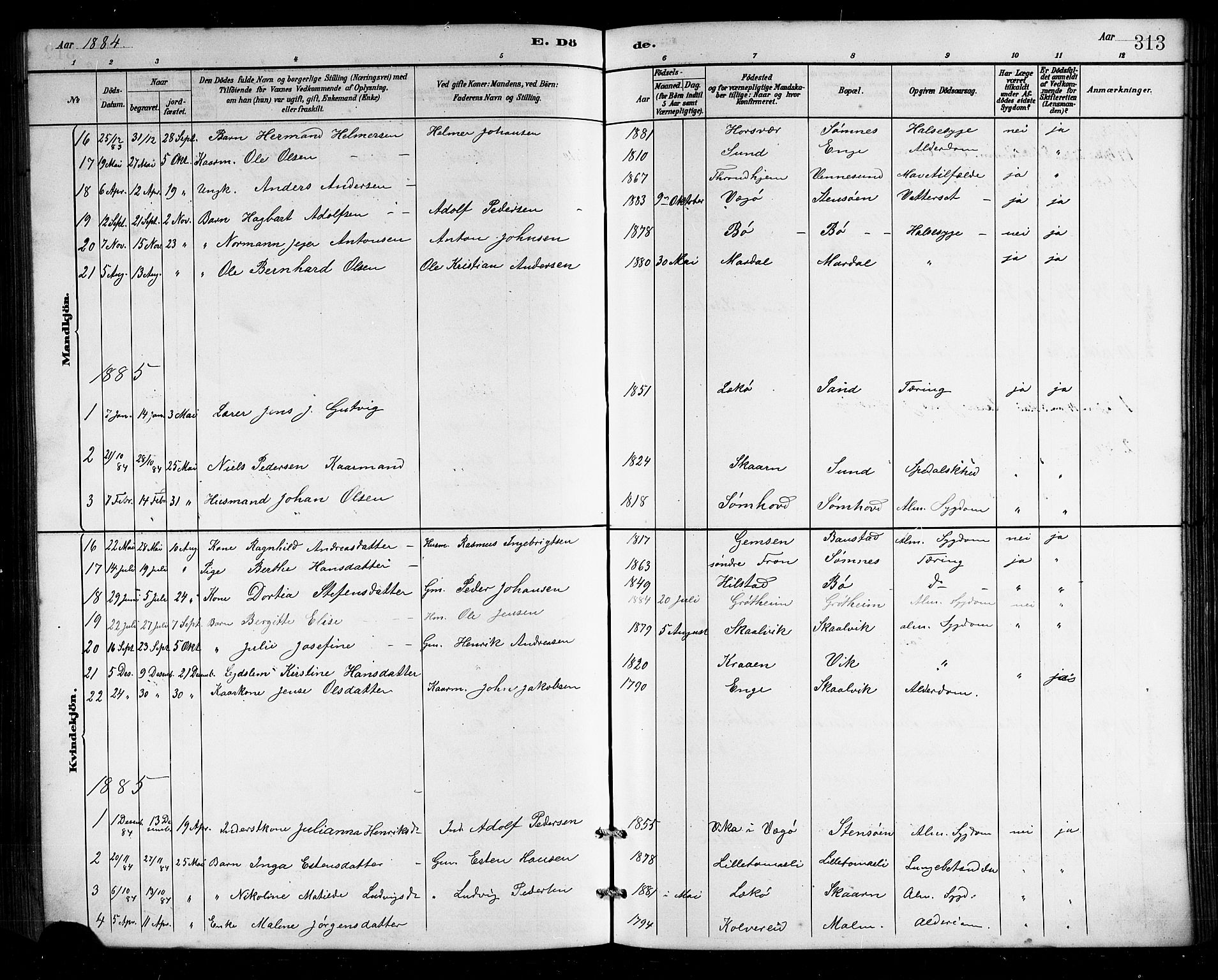 Ministerialprotokoller, klokkerbøker og fødselsregistre - Nordland, SAT/A-1459/812/L0188: Parish register (copy) no. 812C06, 1884-1912, p. 313