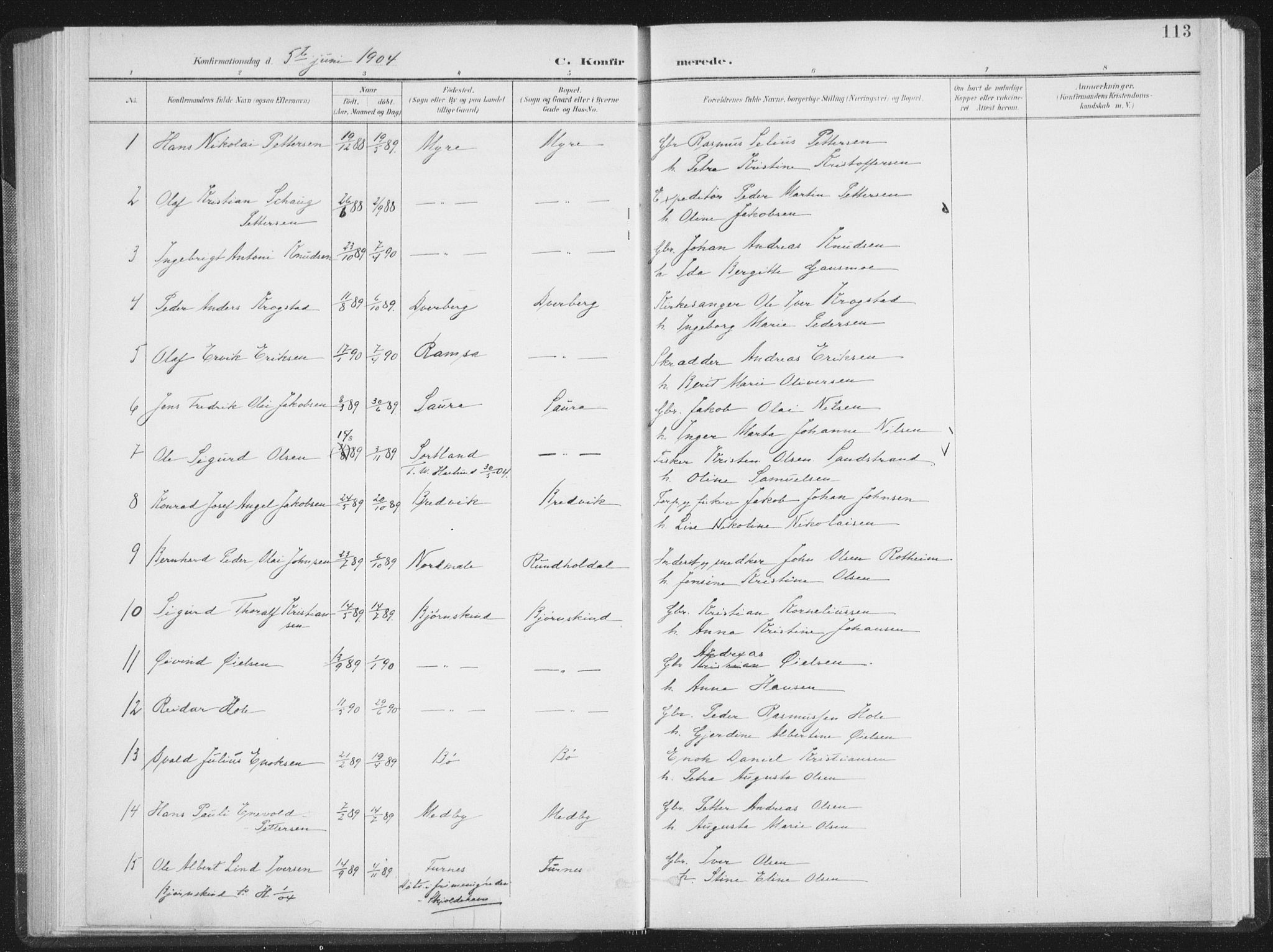 Ministerialprotokoller, klokkerbøker og fødselsregistre - Nordland, AV/SAT-A-1459/897/L1400: Parish register (official) no. 897A07, 1897-1908, p. 113