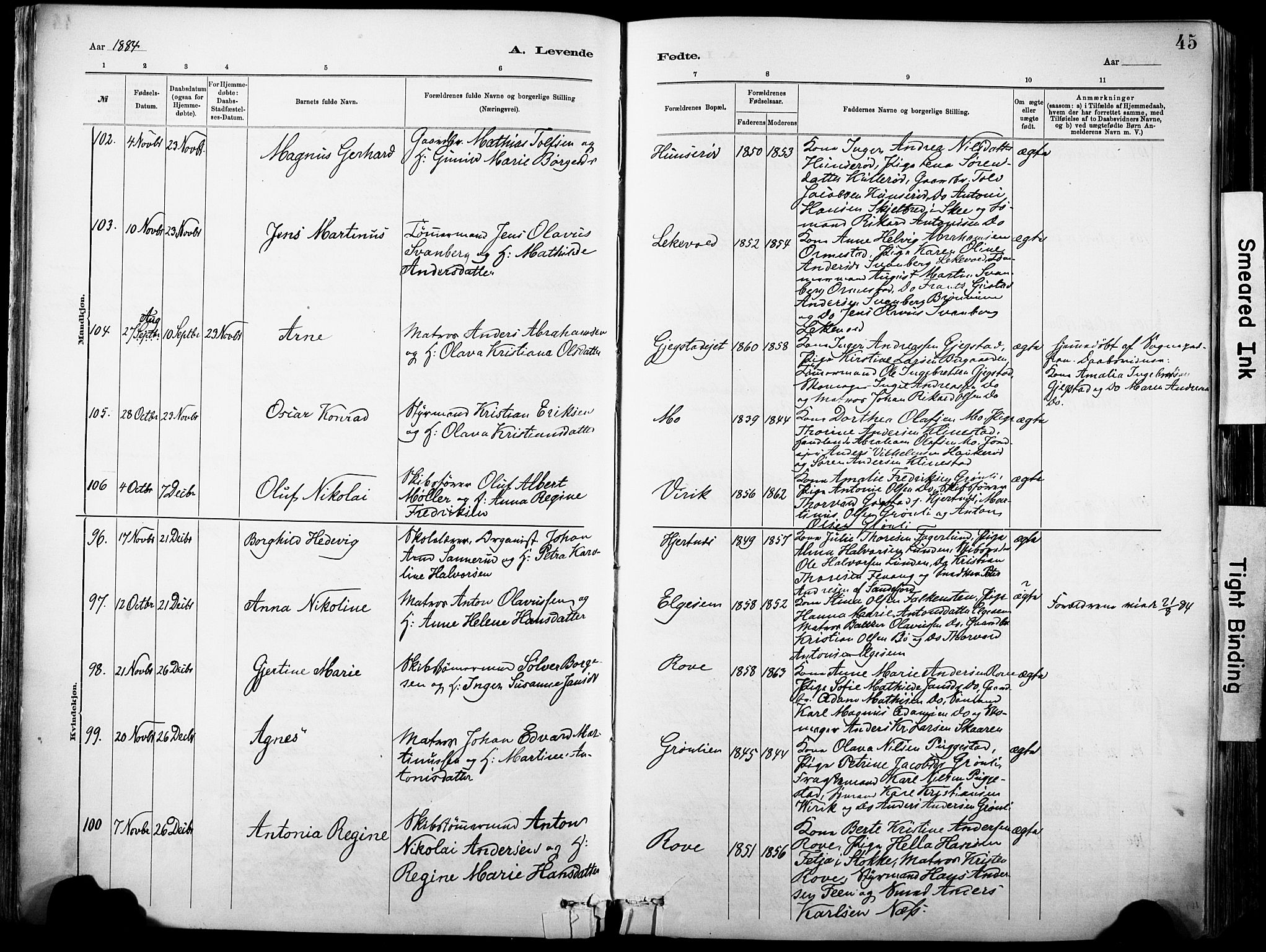 Sandar kirkebøker, SAKO/A-243/F/Fa/L0012: Parish register (official) no. 12, 1883-1895, p. 45