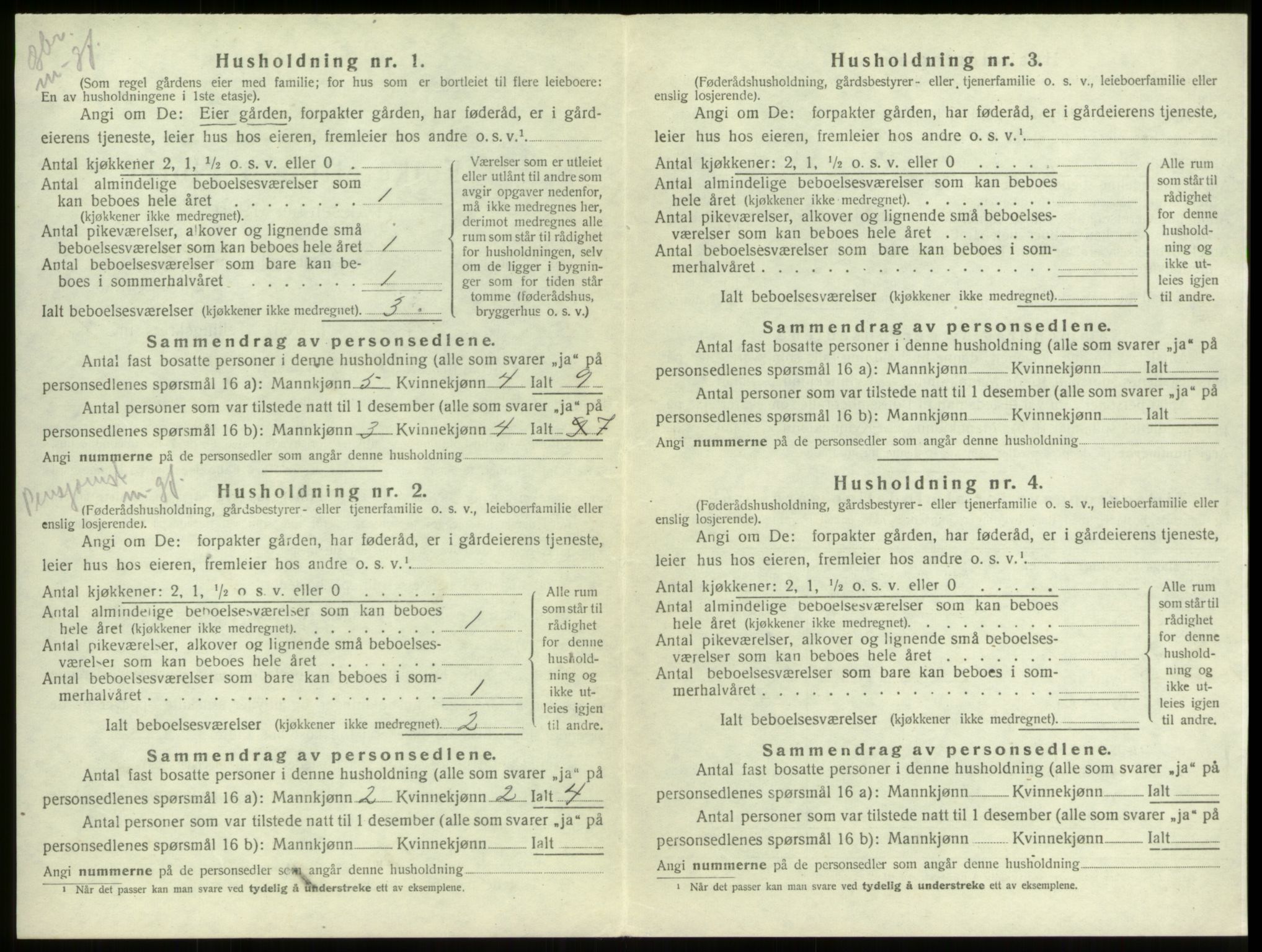 SAB, 1920 census for Stryn, 1920, p. 229