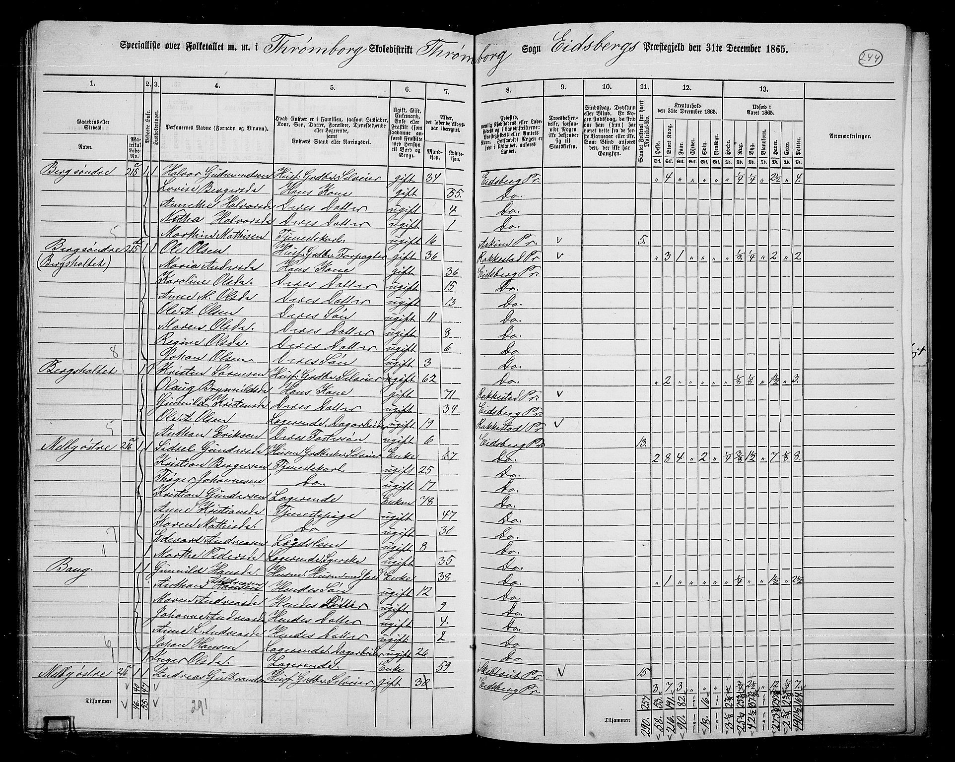 RA, 1865 census for Eidsberg, 1865, p. 221