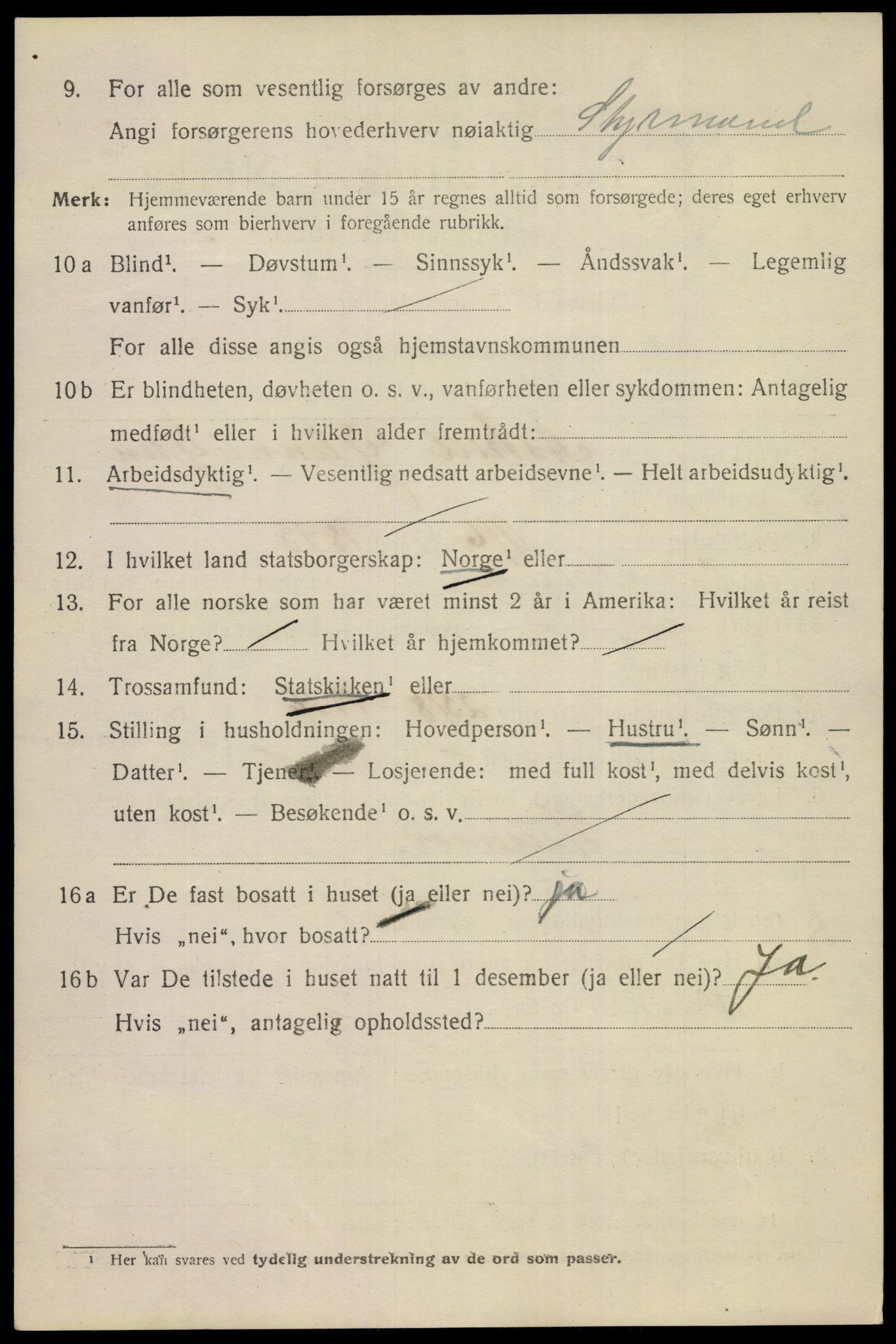 SAKO, 1920 census for Porsgrunn, 1920, p. 19876