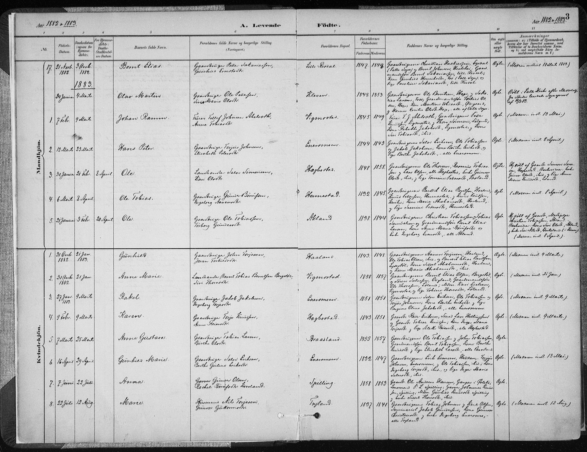 Nord-Audnedal sokneprestkontor, AV/SAK-1111-0032/F/Fa/Fab/L0003: Parish register (official) no. A 3, 1882-1900, p. 3