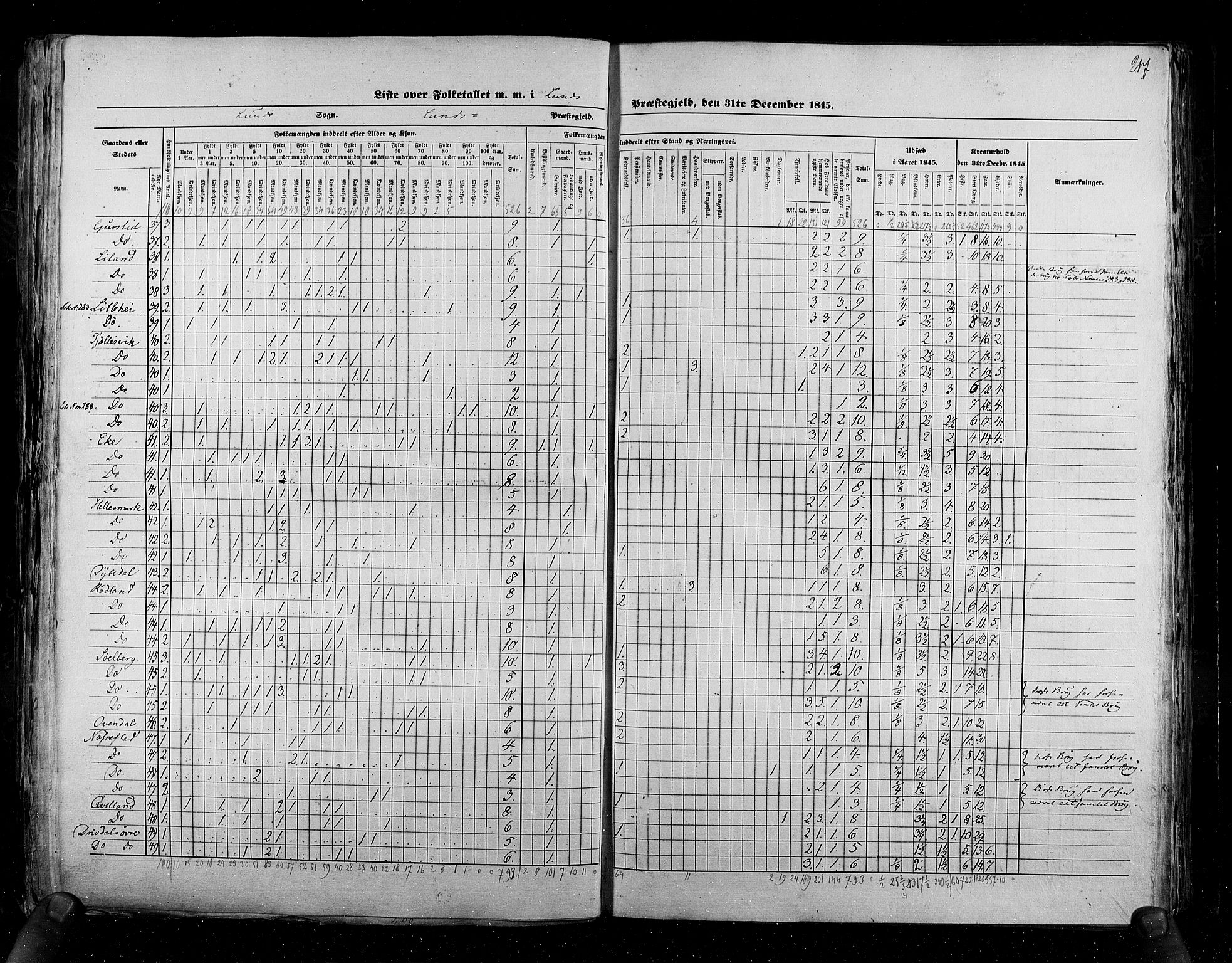 RA, Census 1845, vol. 6: Lister og Mandal amt og Stavanger amt, 1845, p. 217