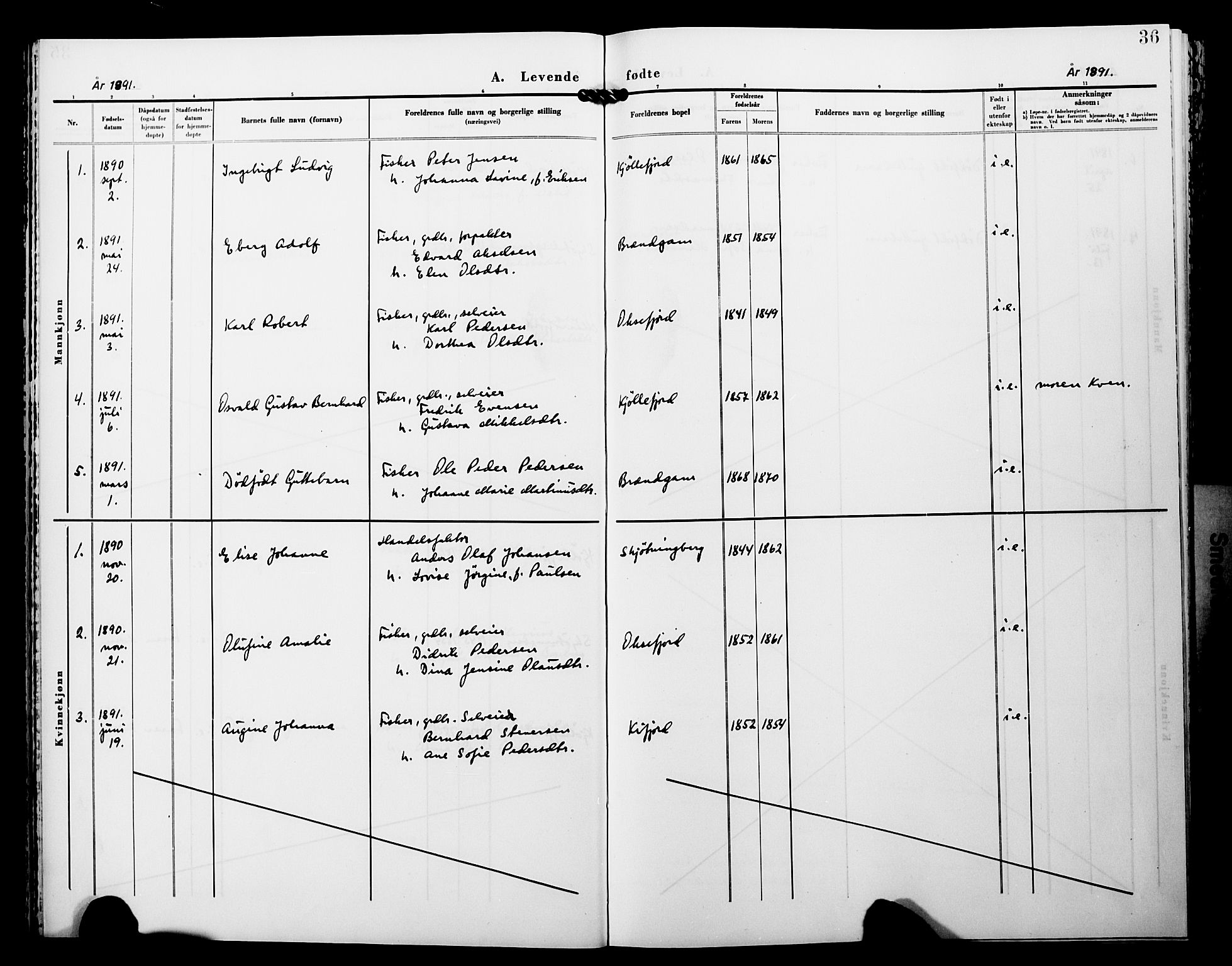 Lebesby sokneprestkontor, SATØ/S-1353/H/Ha/L0005kirke: Parish register (official) no. 5, 1870-1902, p. 36