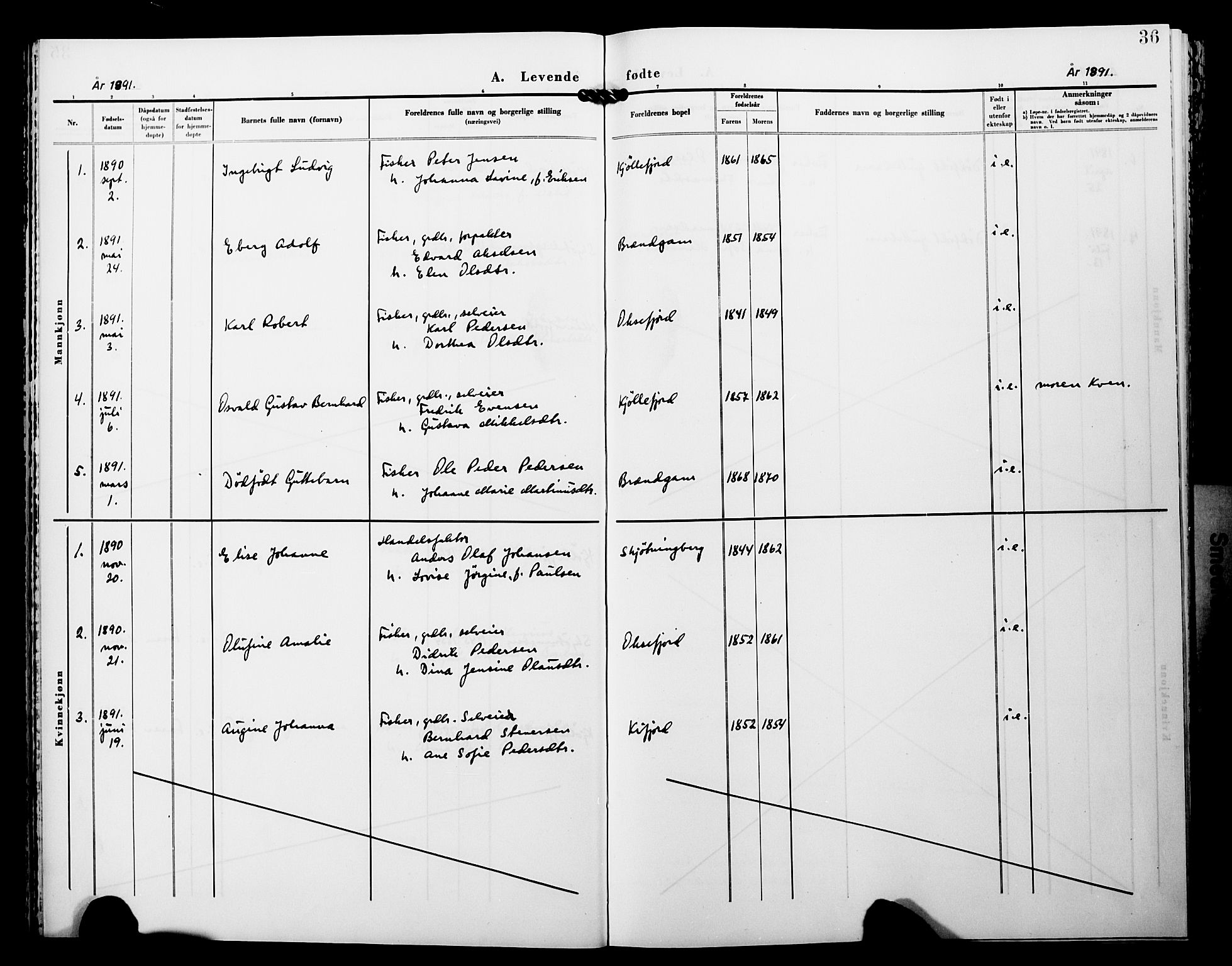 Lebesby sokneprestkontor, AV/SATØ-S-1353/H/Ha/L0005kirke: Parish register (official) no. 5, 1870-1902, p. 36