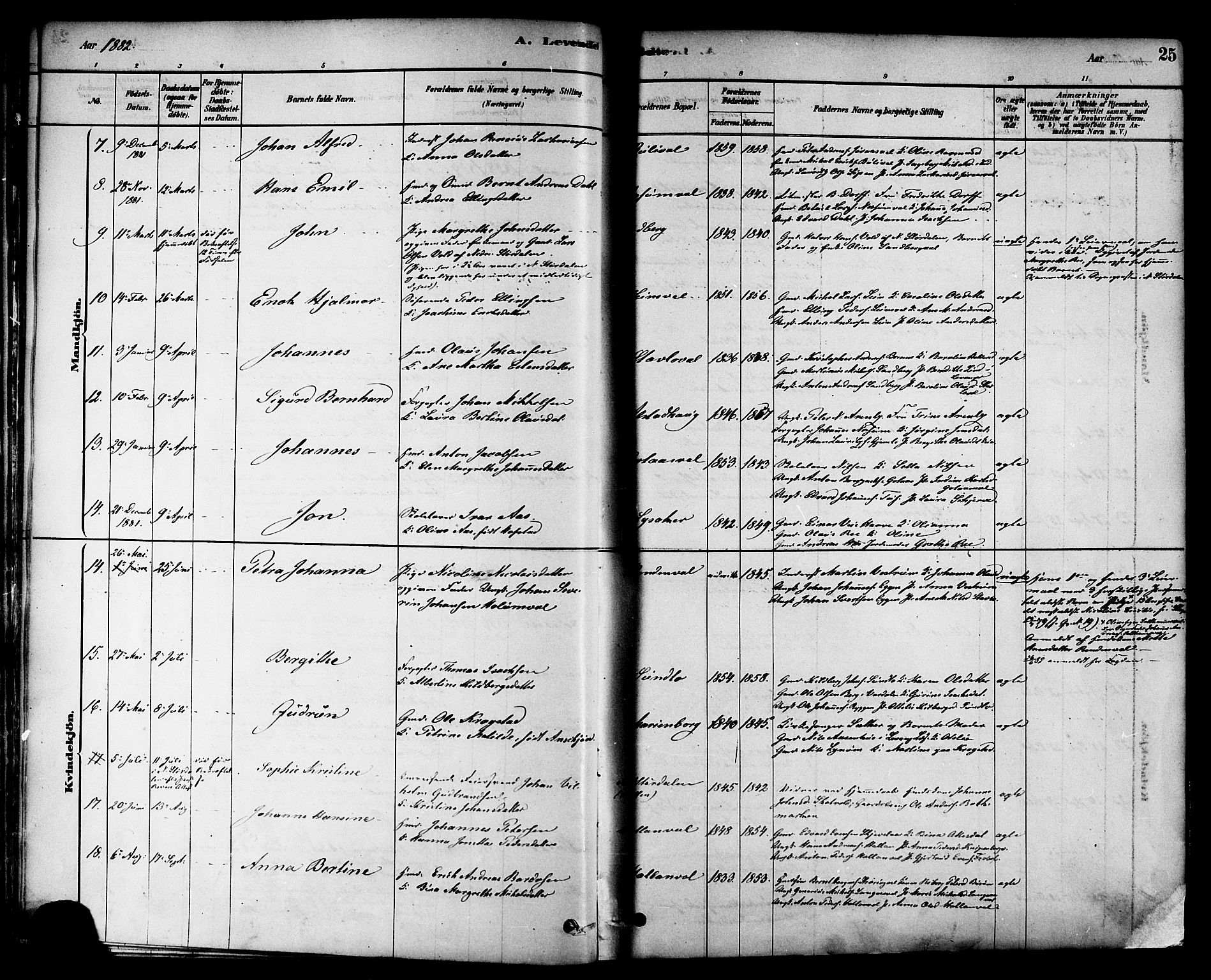 Ministerialprotokoller, klokkerbøker og fødselsregistre - Nord-Trøndelag, AV/SAT-A-1458/717/L0159: Parish register (official) no. 717A09, 1878-1898, p. 25