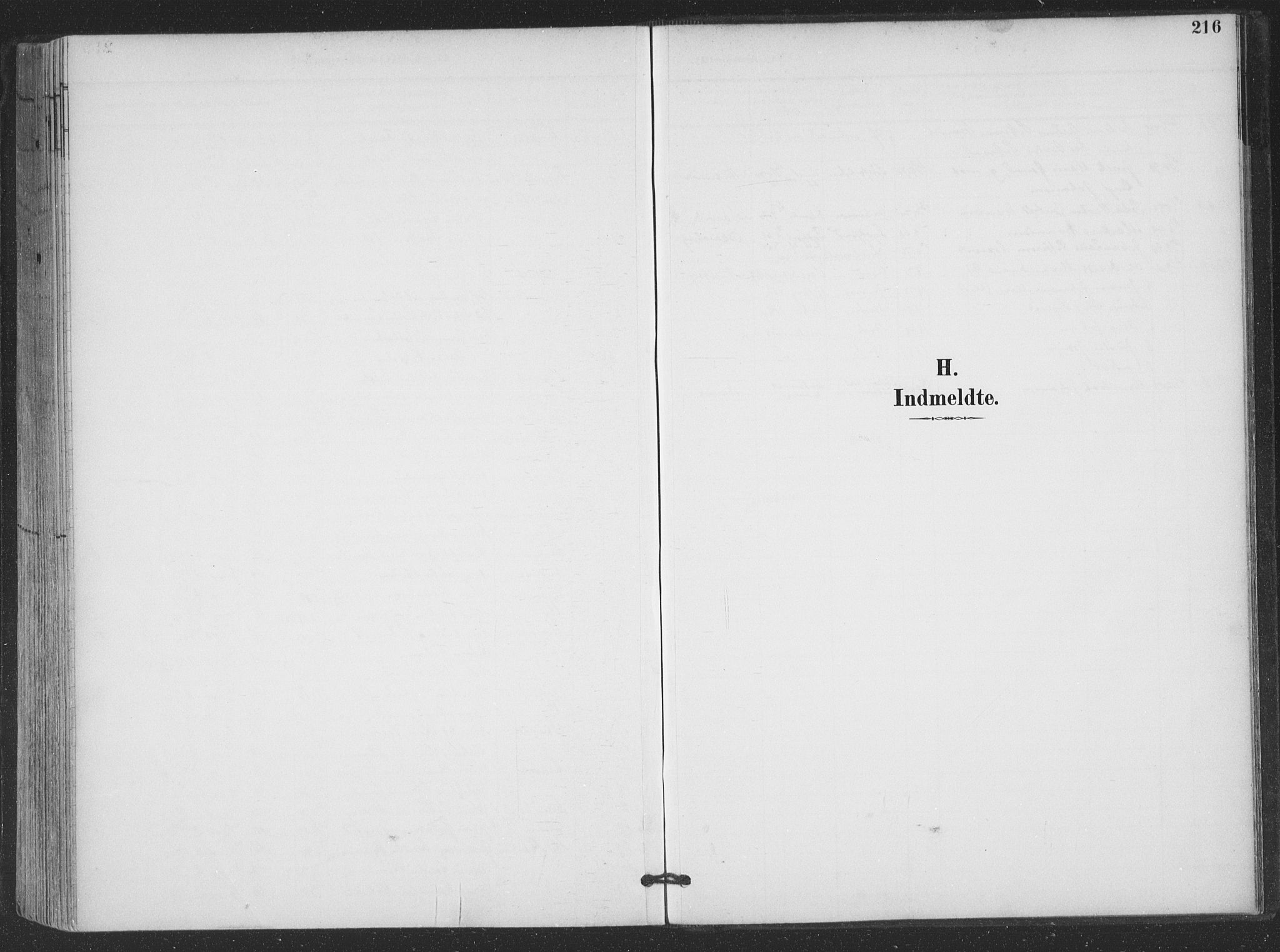 Ministerialprotokoller, klokkerbøker og fødselsregistre - Nordland, AV/SAT-A-1459/866/L0939: Parish register (official) no. 866A02, 1894-1906, p. 216