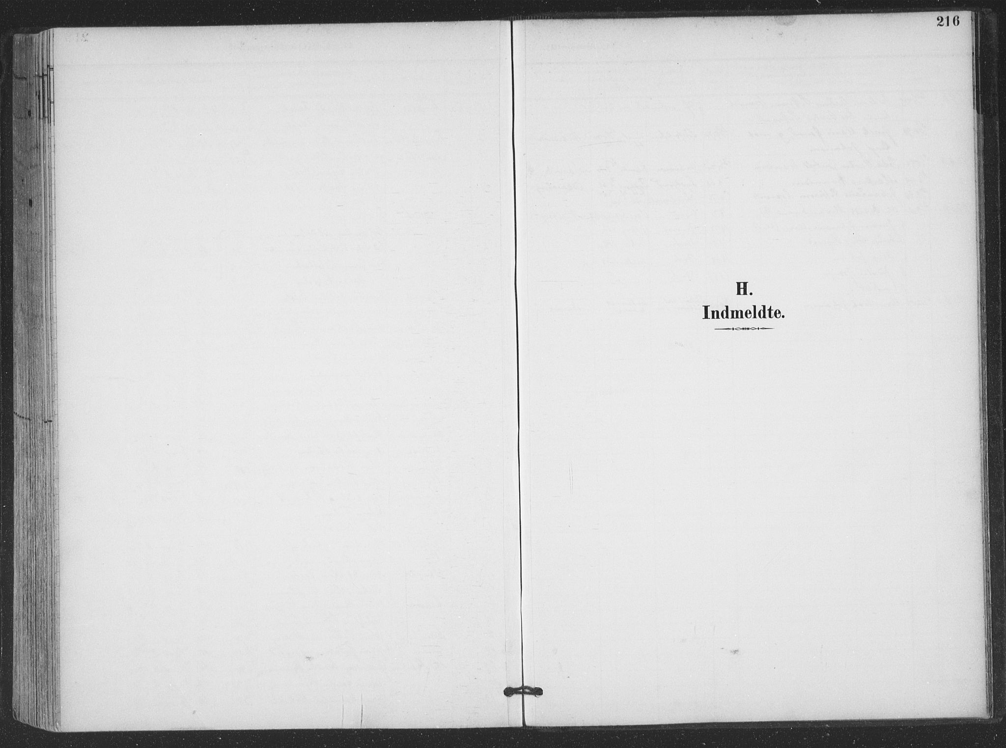 Ministerialprotokoller, klokkerbøker og fødselsregistre - Nordland, SAT/A-1459/866/L0939: Parish register (official) no. 866A02, 1894-1906, p. 216