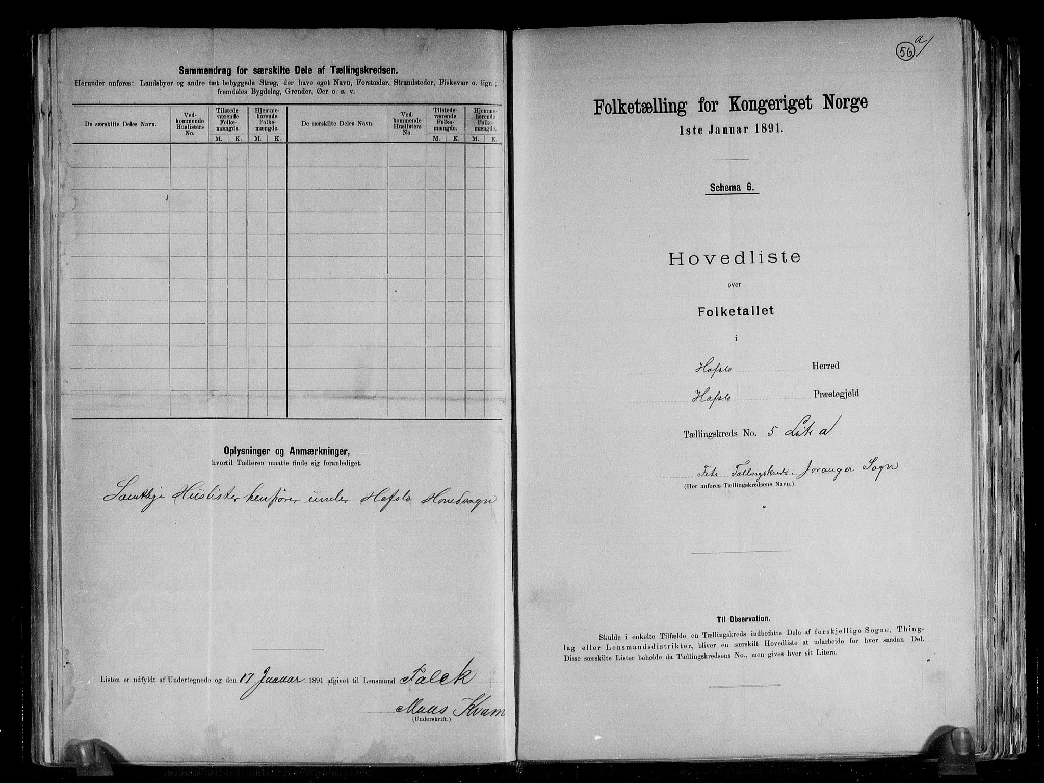 RA, 1891 census for 1425 Hafslo, 1891, p. 18