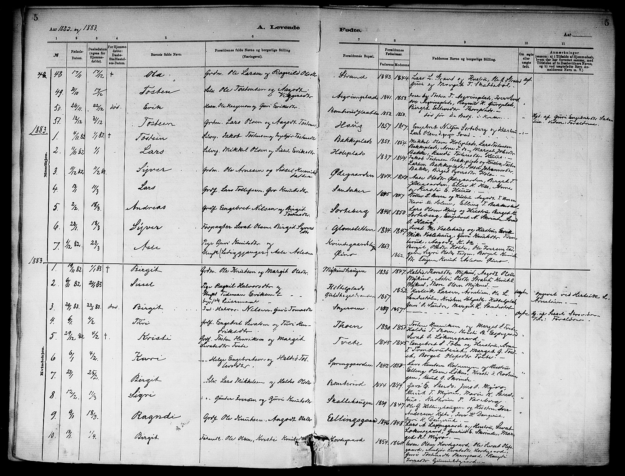 Ål kirkebøker, SAKO/A-249/F/Fa/L0008: Parish register (official) no. I 8, 1882-1896, p. 5