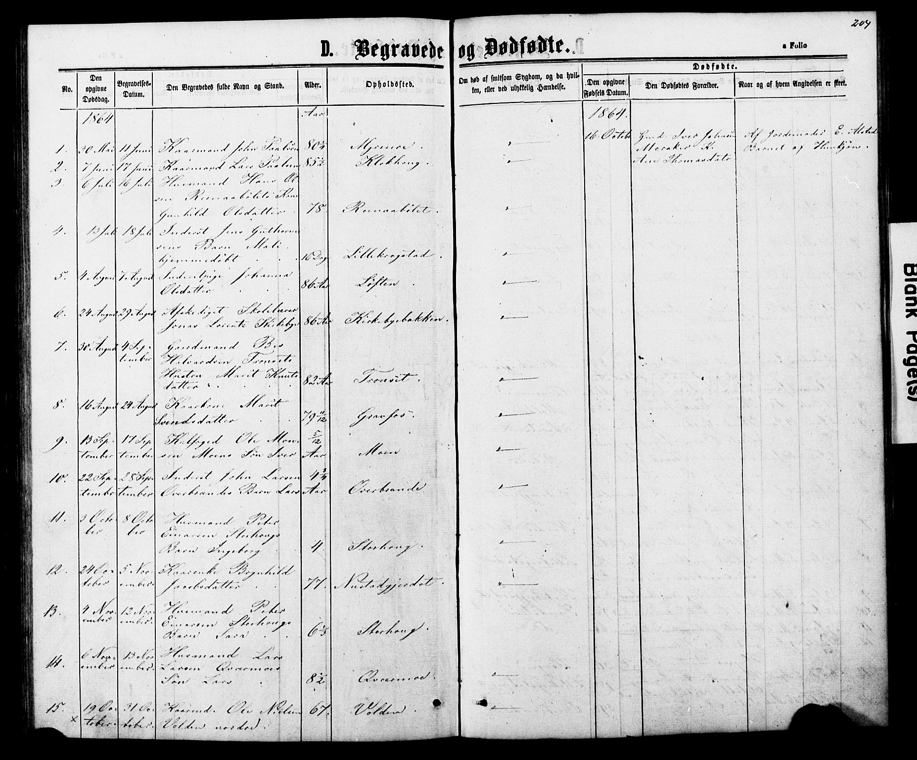 Ministerialprotokoller, klokkerbøker og fødselsregistre - Nord-Trøndelag, SAT/A-1458/706/L0049: Parish register (copy) no. 706C01, 1864-1895, p. 204