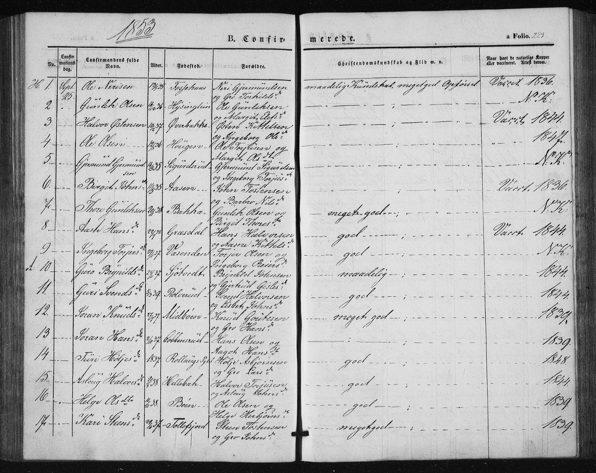 Tinn kirkebøker, SAKO/A-308/F/Fa/L0005: Parish register (official) no. I 5, 1844-1856, p. 223