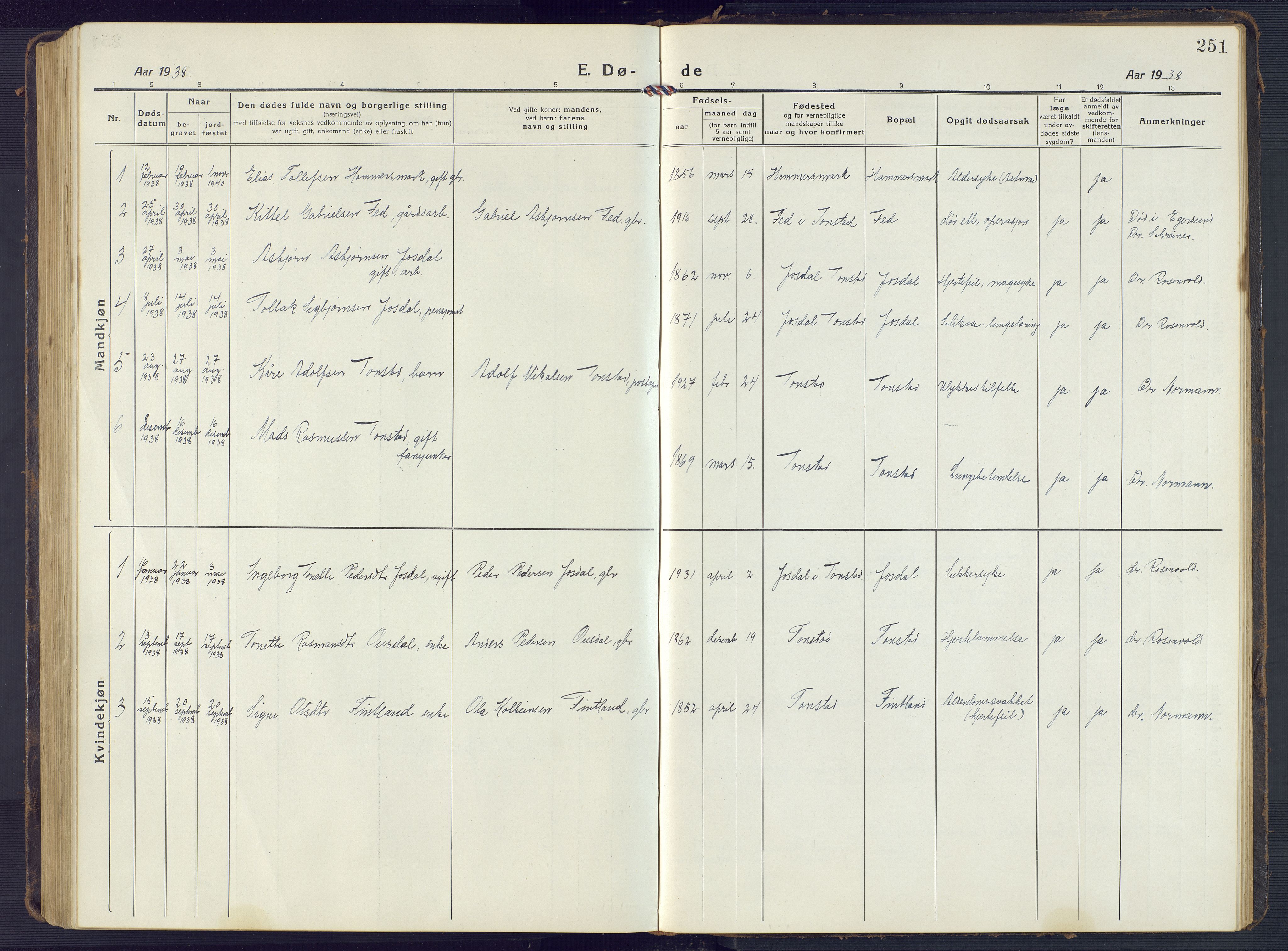 Sirdal sokneprestkontor, SAK/1111-0036/F/Fb/Fbb/L0005: Parish register (copy) no. B 5, 1916-1960, p. 251