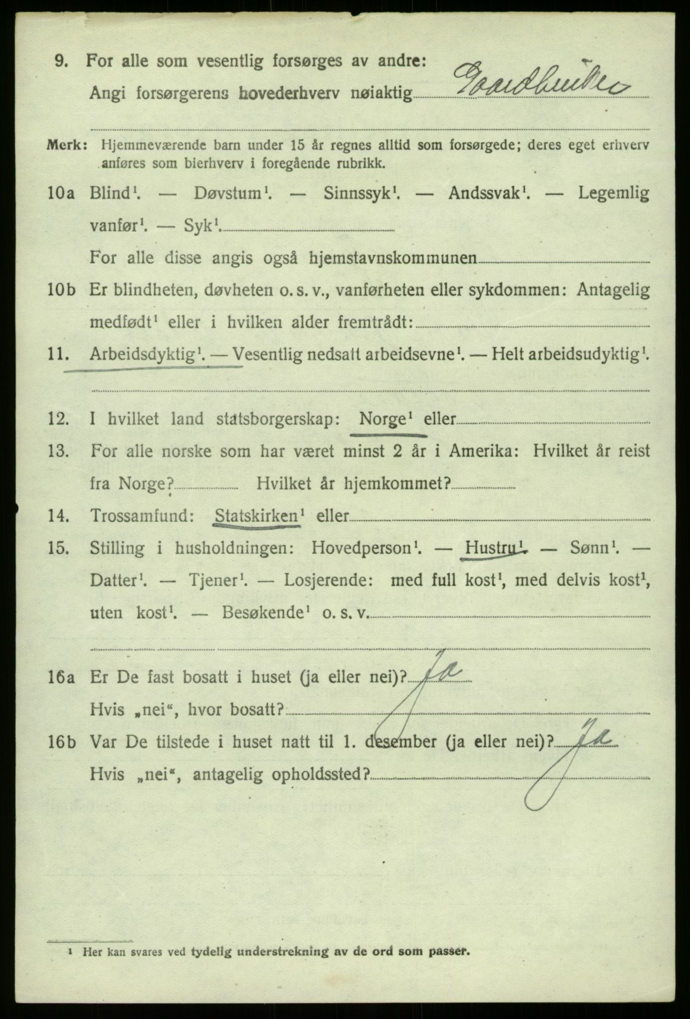 SAB, 1920 census for Lærdal, 1920, p. 4253