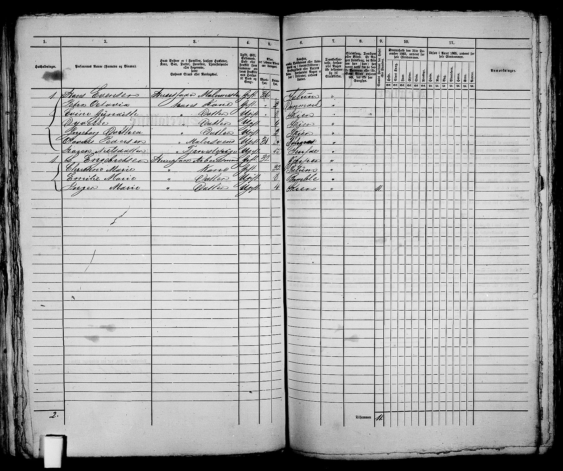 RA, 1865 census for Skien, 1865, p. 214