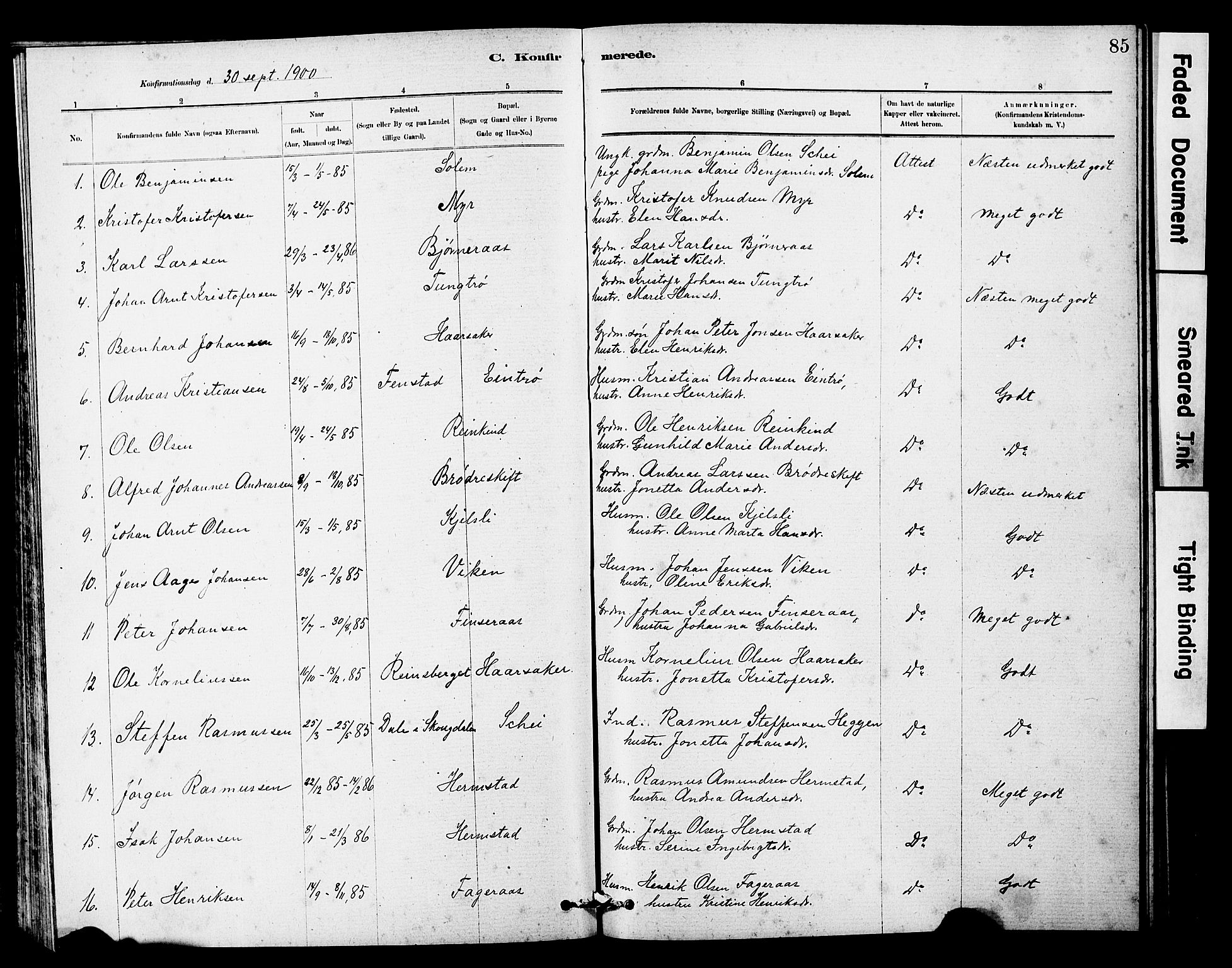 Ministerialprotokoller, klokkerbøker og fødselsregistre - Sør-Trøndelag, SAT/A-1456/646/L0628: Parish register (copy) no. 646C01, 1880-1903, p. 85