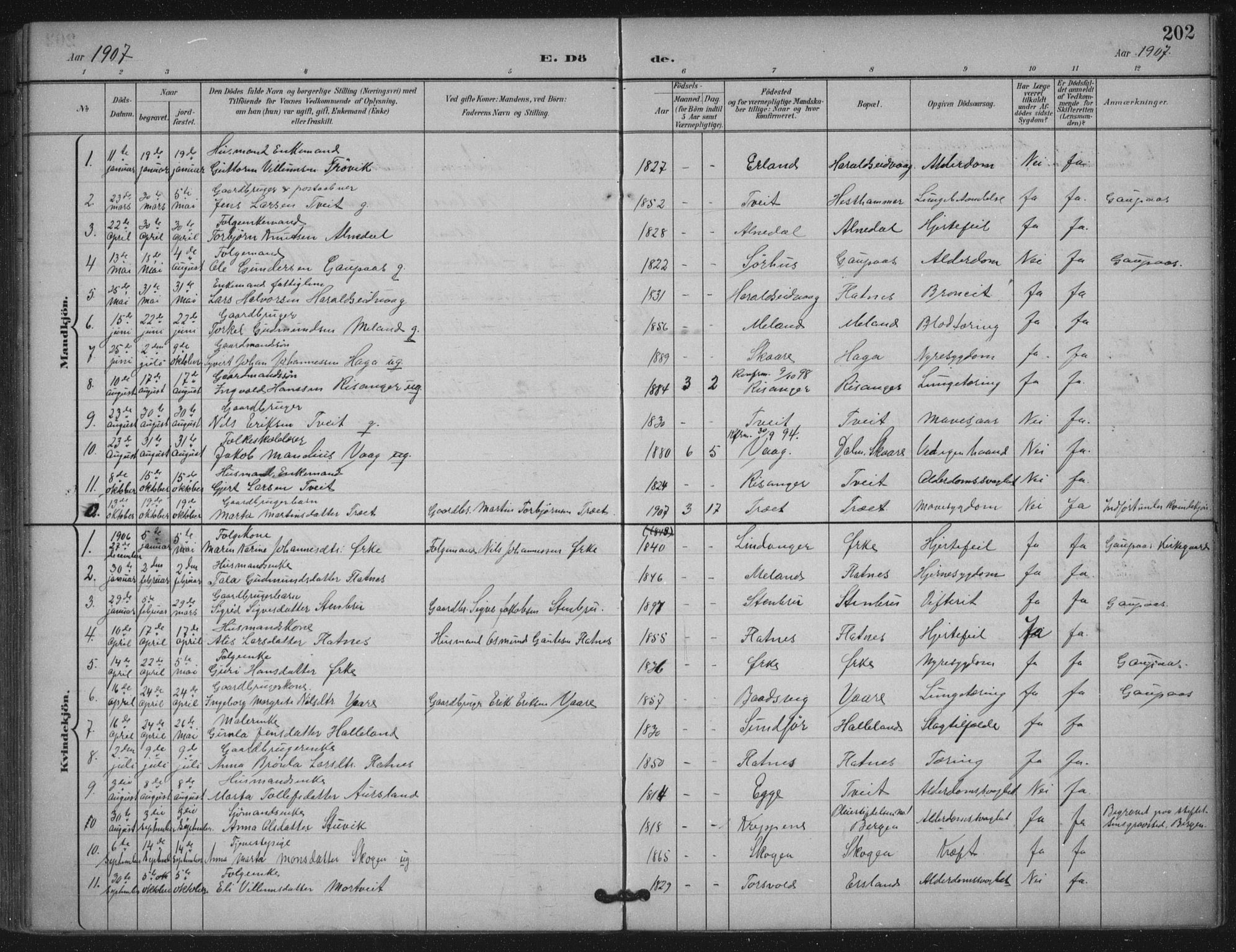 Skjold sokneprestkontor, AV/SAST-A-101847/H/Ha/Haa/L0011: Parish register (official) no. A 11, 1897-1914, p. 202