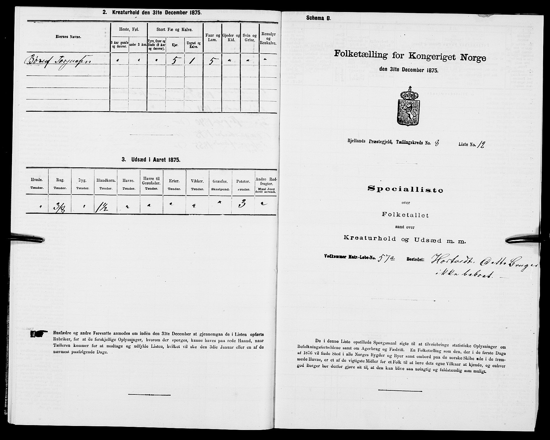 SAK, 1875 census for 1024P Bjelland, 1875, p. 531