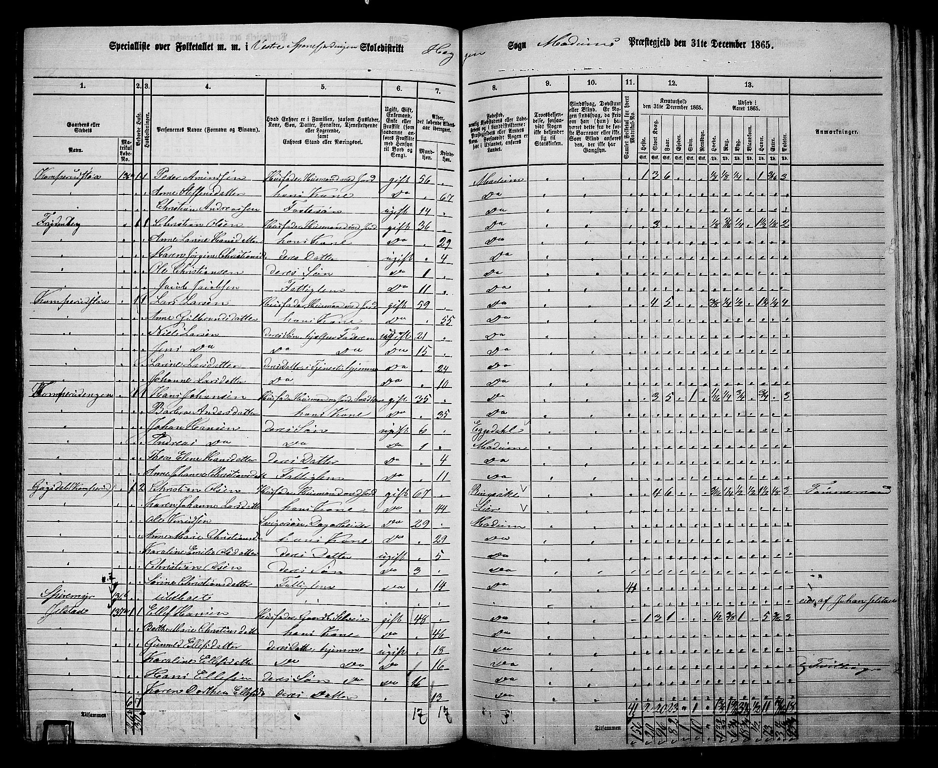 RA, 1865 census for Modum, 1865, p. 191