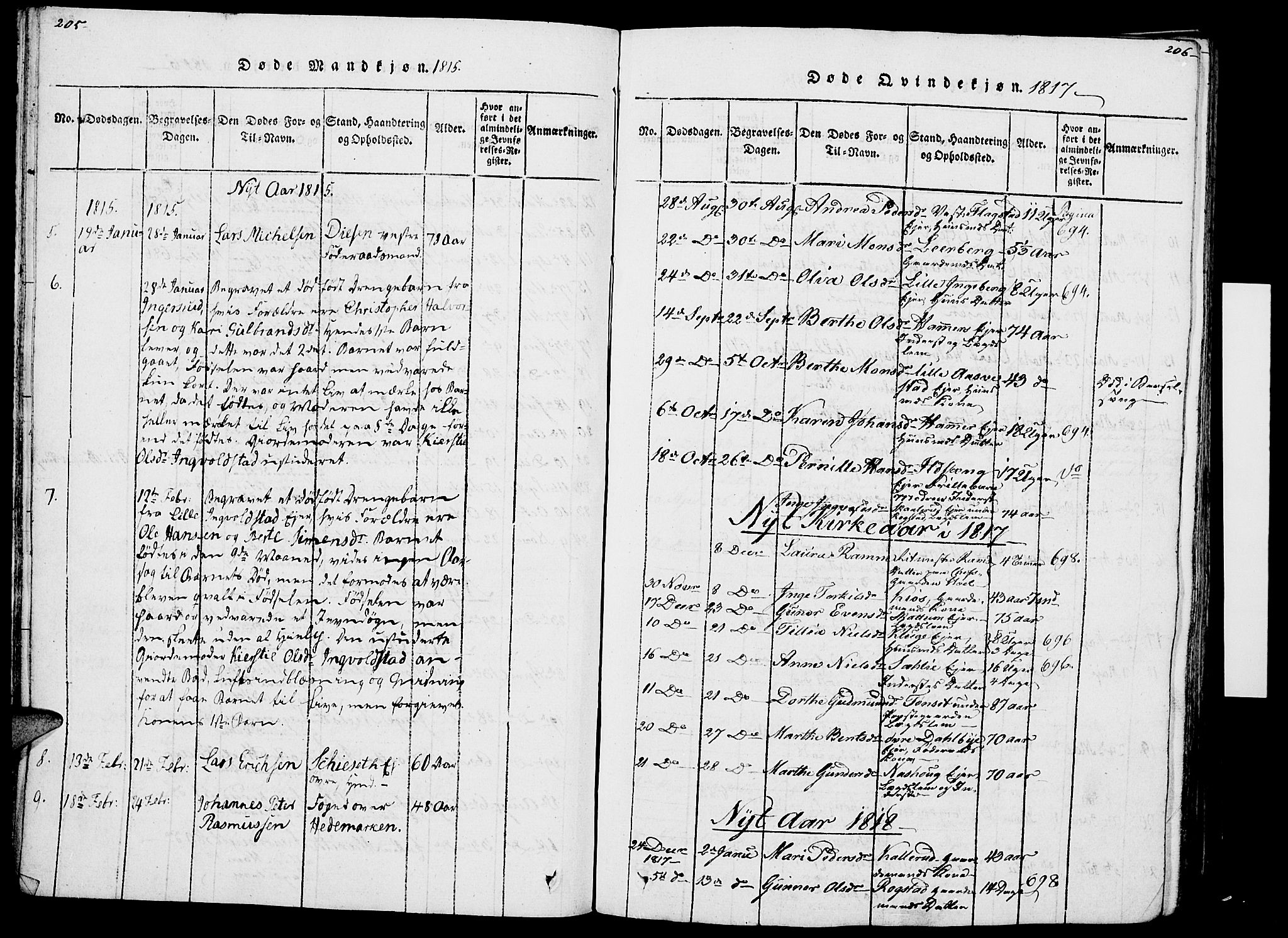 Vang prestekontor, Hedmark, SAH/PREST-008/H/Ha/Haa/L0007: Parish register (official) no. 7, 1813-1826, p. 205-206