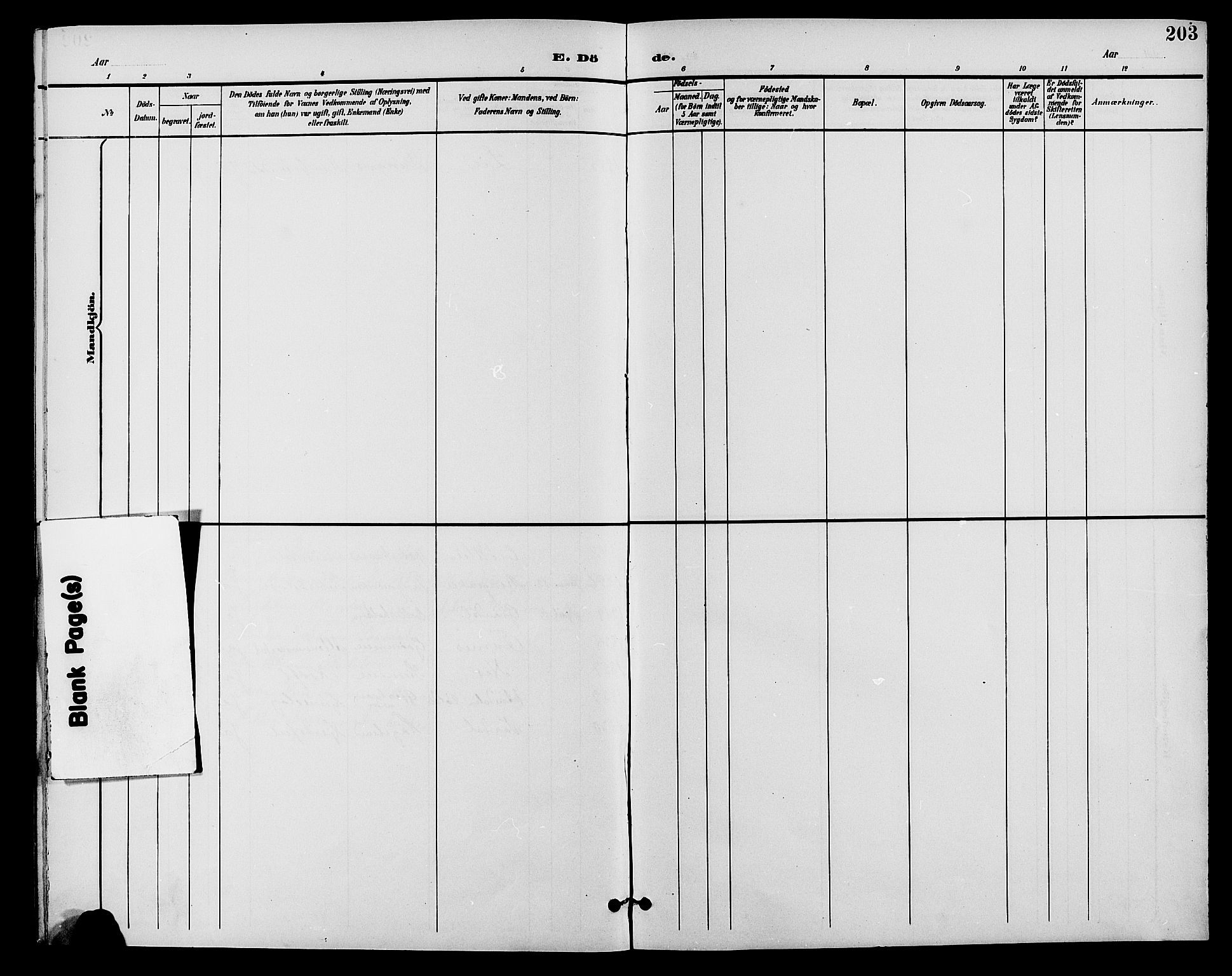 Nes prestekontor, Hedmark, AV/SAH-PREST-020/L/La/L0007: Parish register (copy) no. 7, 1892-1912, p. 203