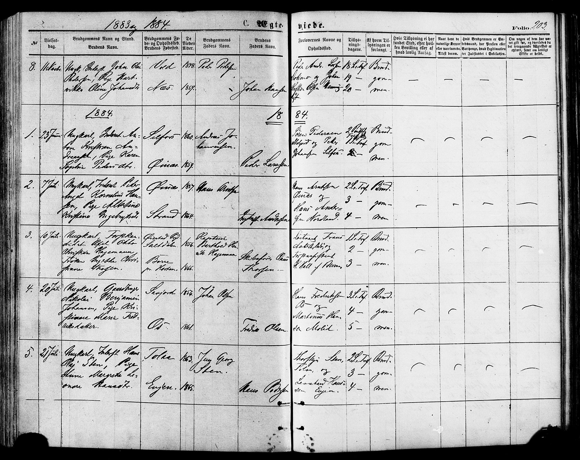 Ministerialprotokoller, klokkerbøker og fødselsregistre - Nordland, AV/SAT-A-1459/846/L0645: Parish register (official) no. 846A03, 1872-1886, p. 203