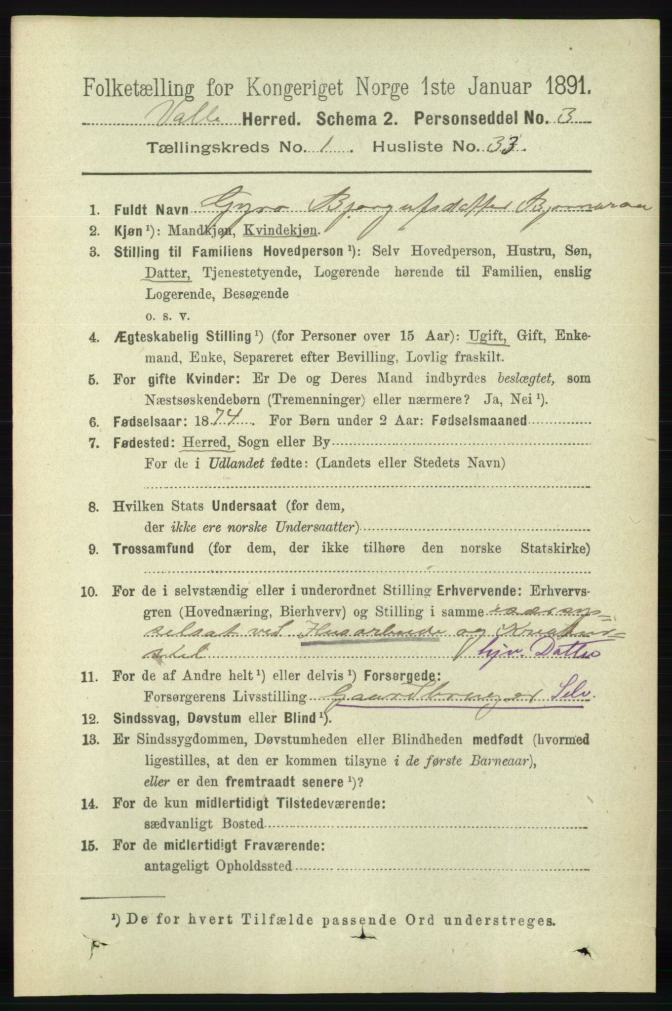 RA, 1891 census for 0940 Valle, 1891, p. 305