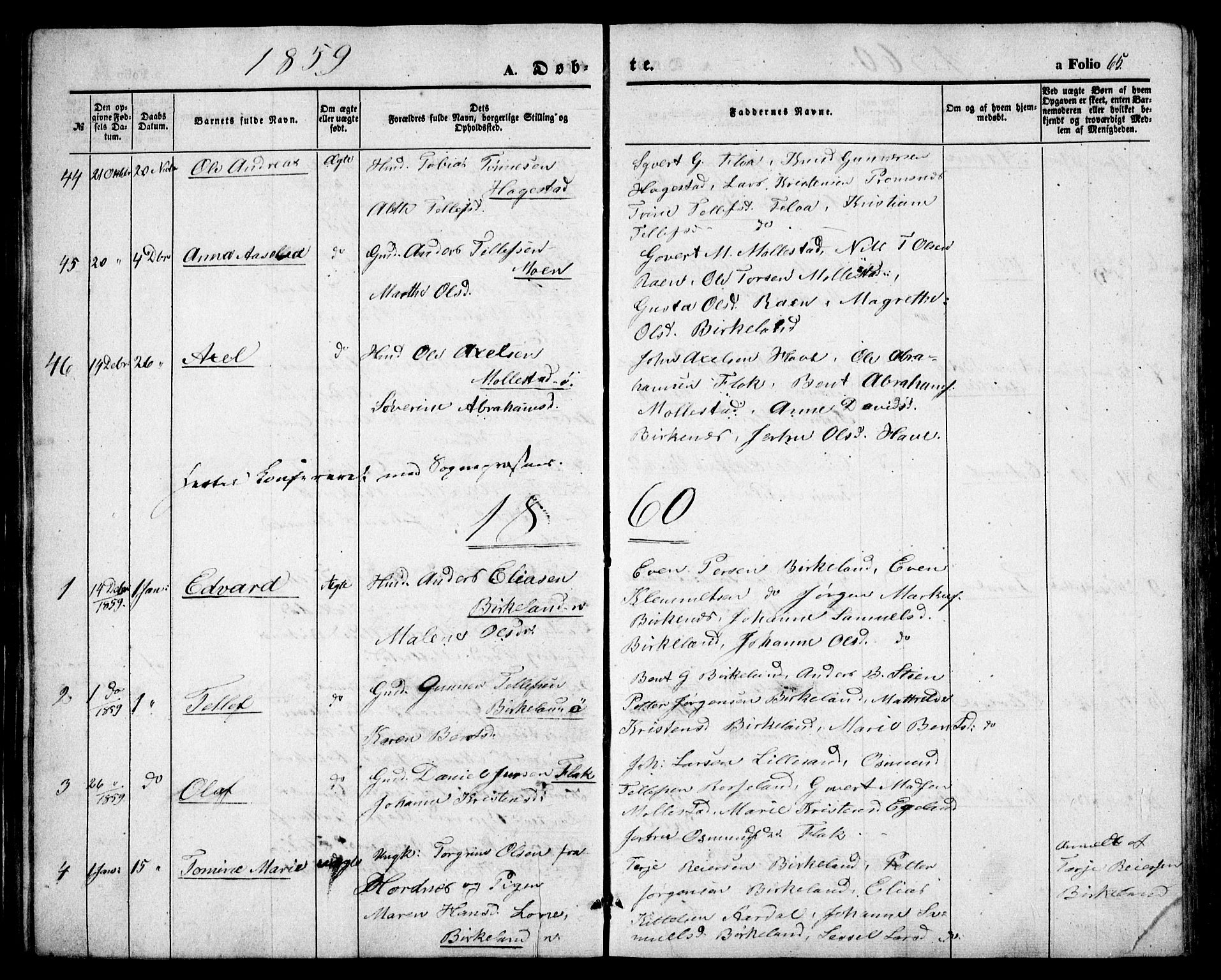Birkenes sokneprestkontor, SAK/1111-0004/F/Fb/L0002: Parish register (copy) no. B 2, 1849-1876, p. 65