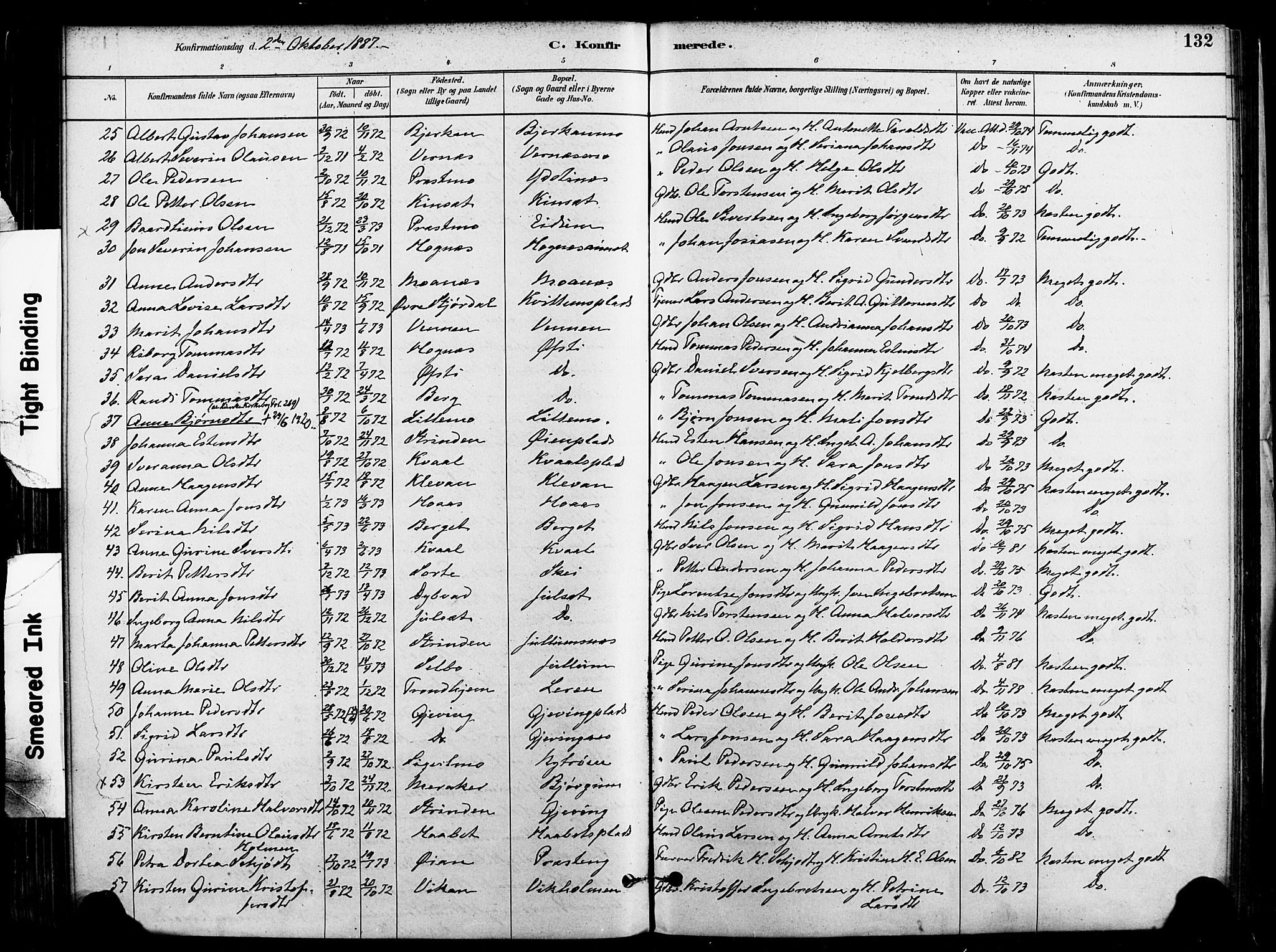 Ministerialprotokoller, klokkerbøker og fødselsregistre - Nord-Trøndelag, SAT/A-1458/709/L0077: Parish register (official) no. 709A17, 1880-1895, p. 132