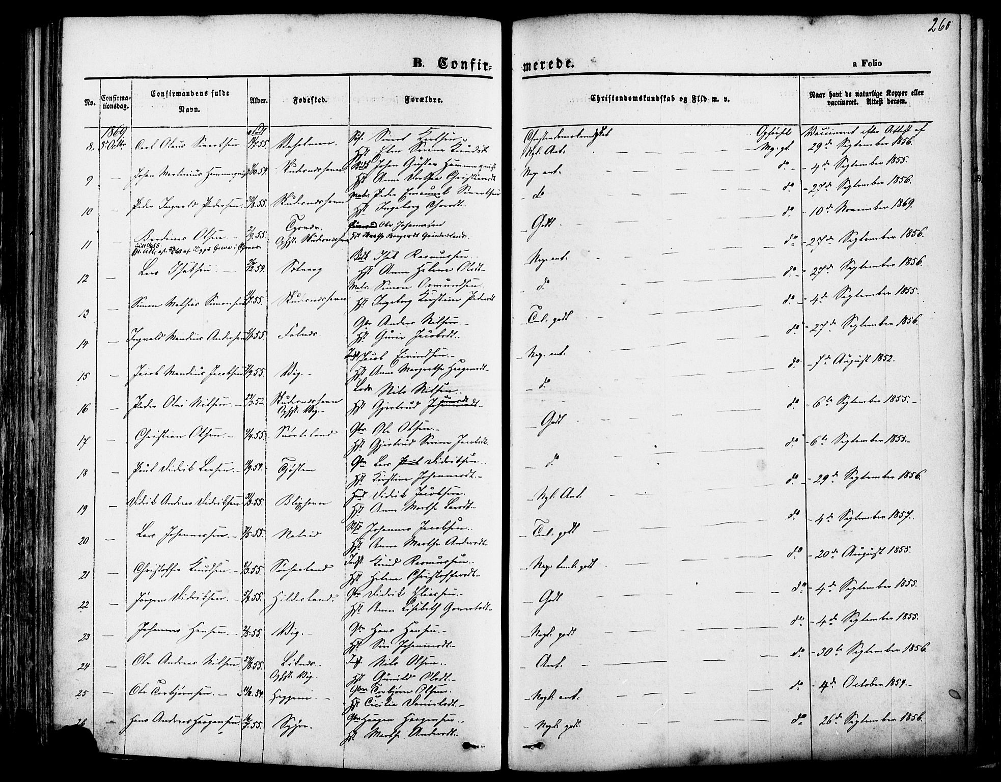 Skudenes sokneprestkontor, SAST/A -101849/H/Ha/Haa/L0006: Parish register (official) no. A 4, 1864-1881, p. 260