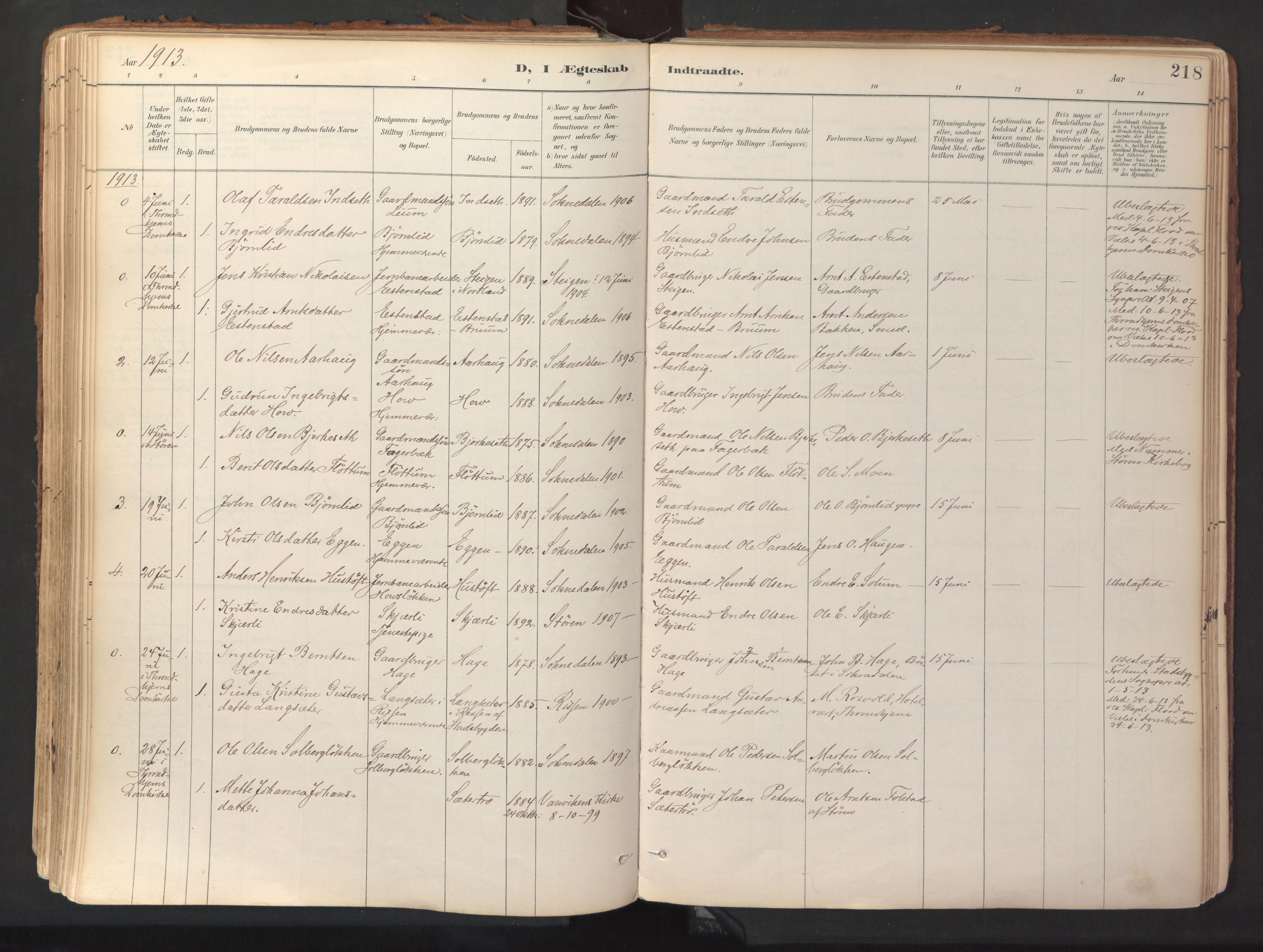 Ministerialprotokoller, klokkerbøker og fødselsregistre - Sør-Trøndelag, SAT/A-1456/689/L1041: Parish register (official) no. 689A06, 1891-1923, p. 218