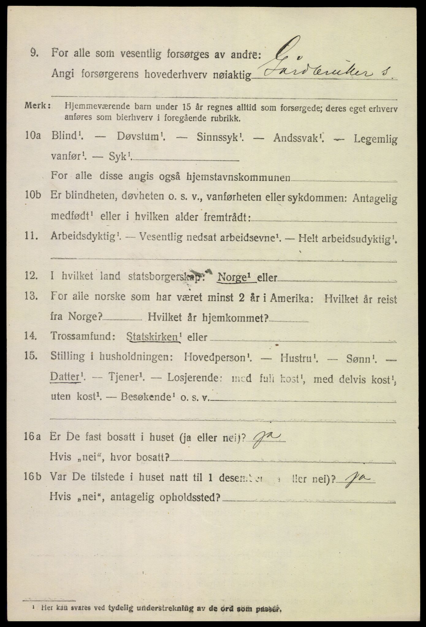 SAH, 1920 census for Skjåk, 1920, p. 1081