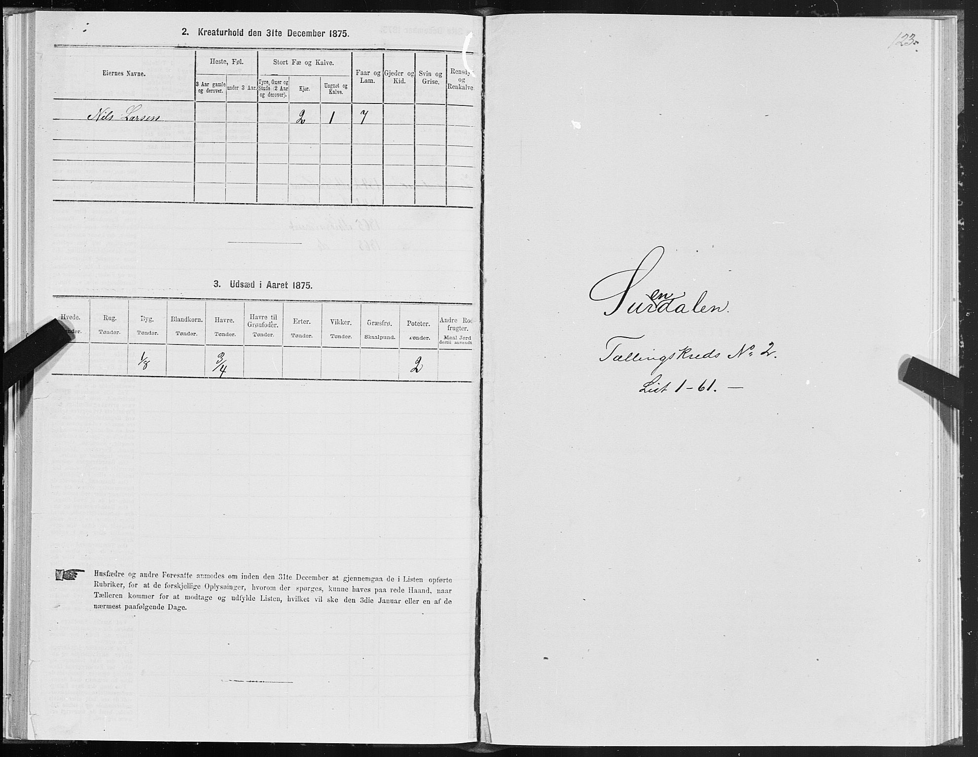 SAT, 1875 census for 1566P Surnadal, 1875, p. 1123