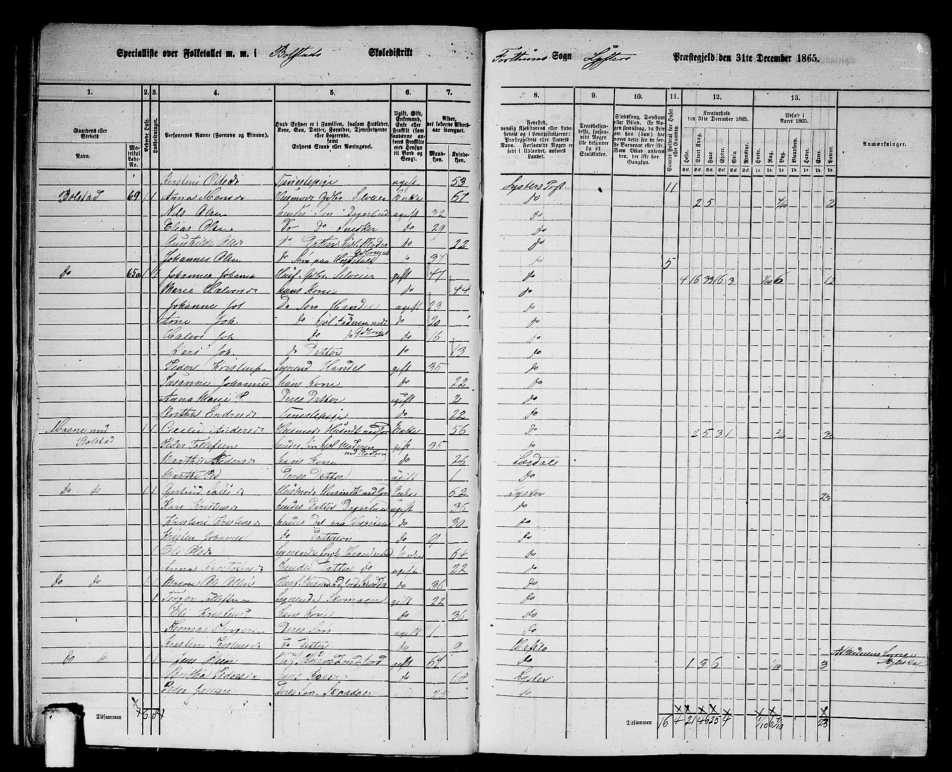 RA, 1865 census for Luster, 1865, p. 13