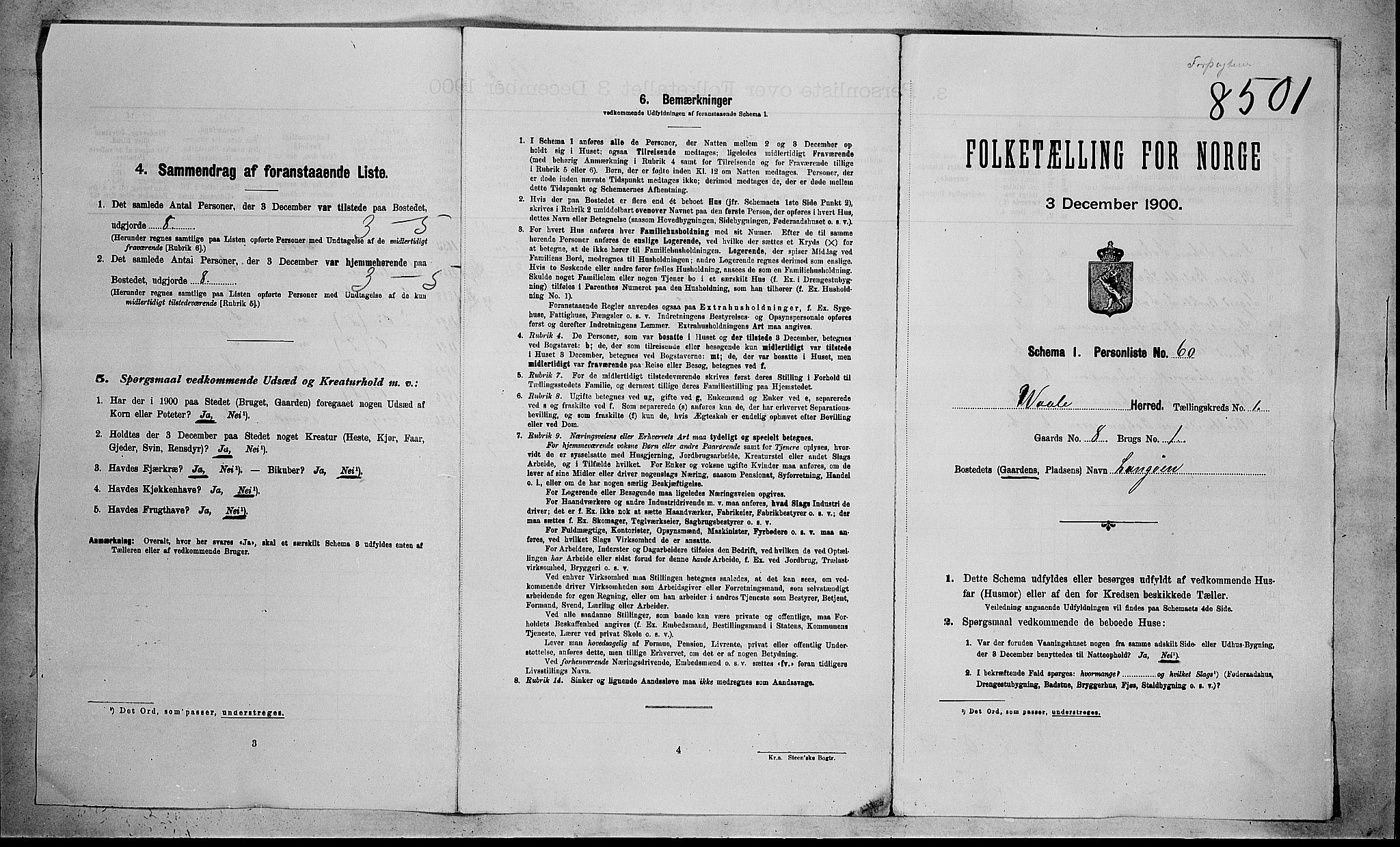 RA, 1900 census for Våle, 1900, p. 30