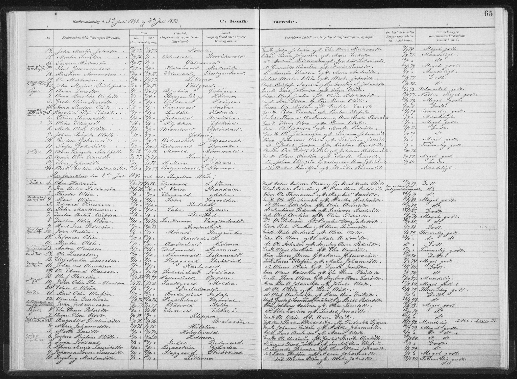 Ministerialprotokoller, klokkerbøker og fødselsregistre - Nord-Trøndelag, AV/SAT-A-1458/724/L0263: Parish register (official) no. 724A01, 1891-1907, p. 65