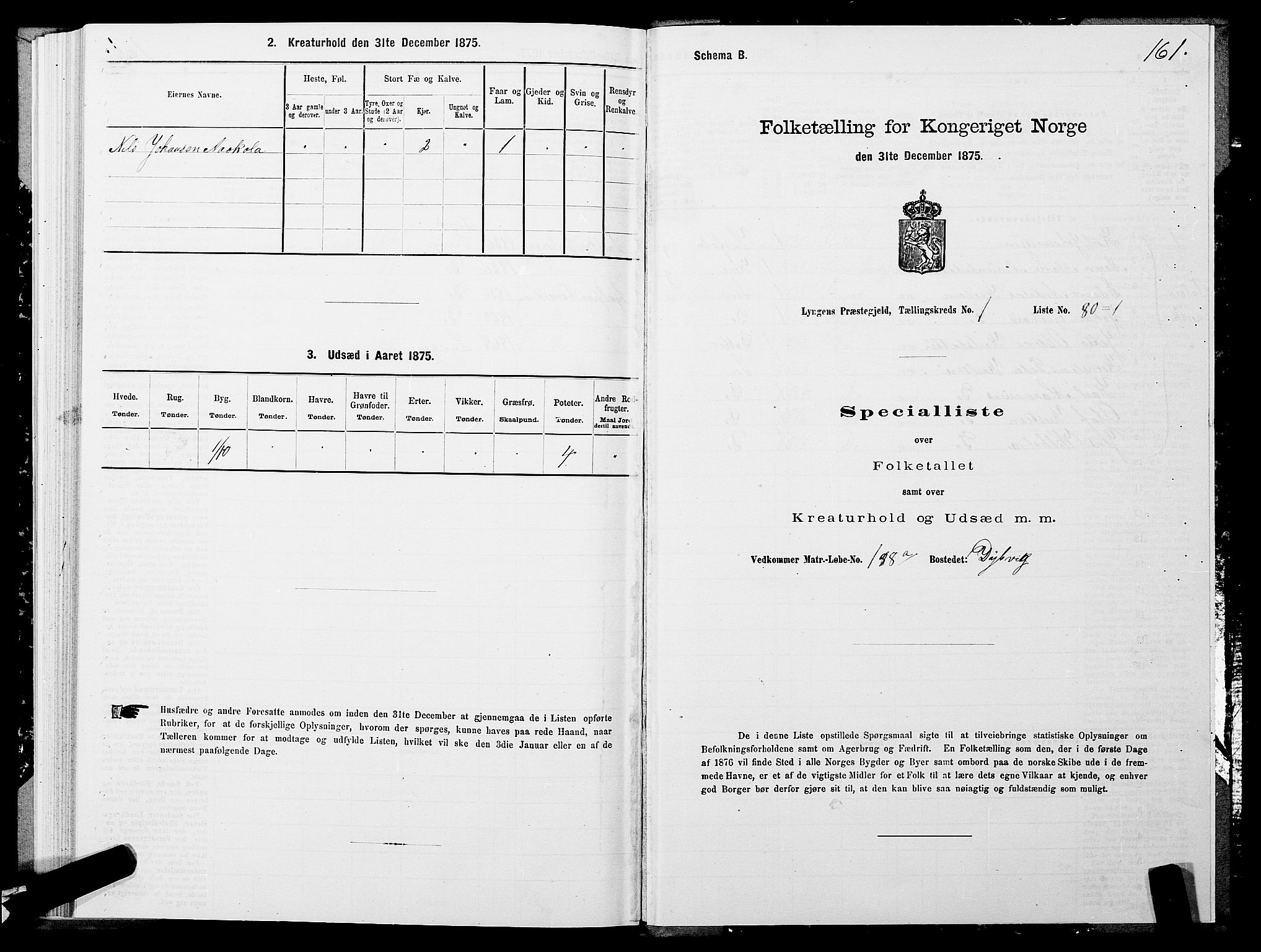 SATØ, 1875 census for 1938P Lyngen, 1875, p. 1161